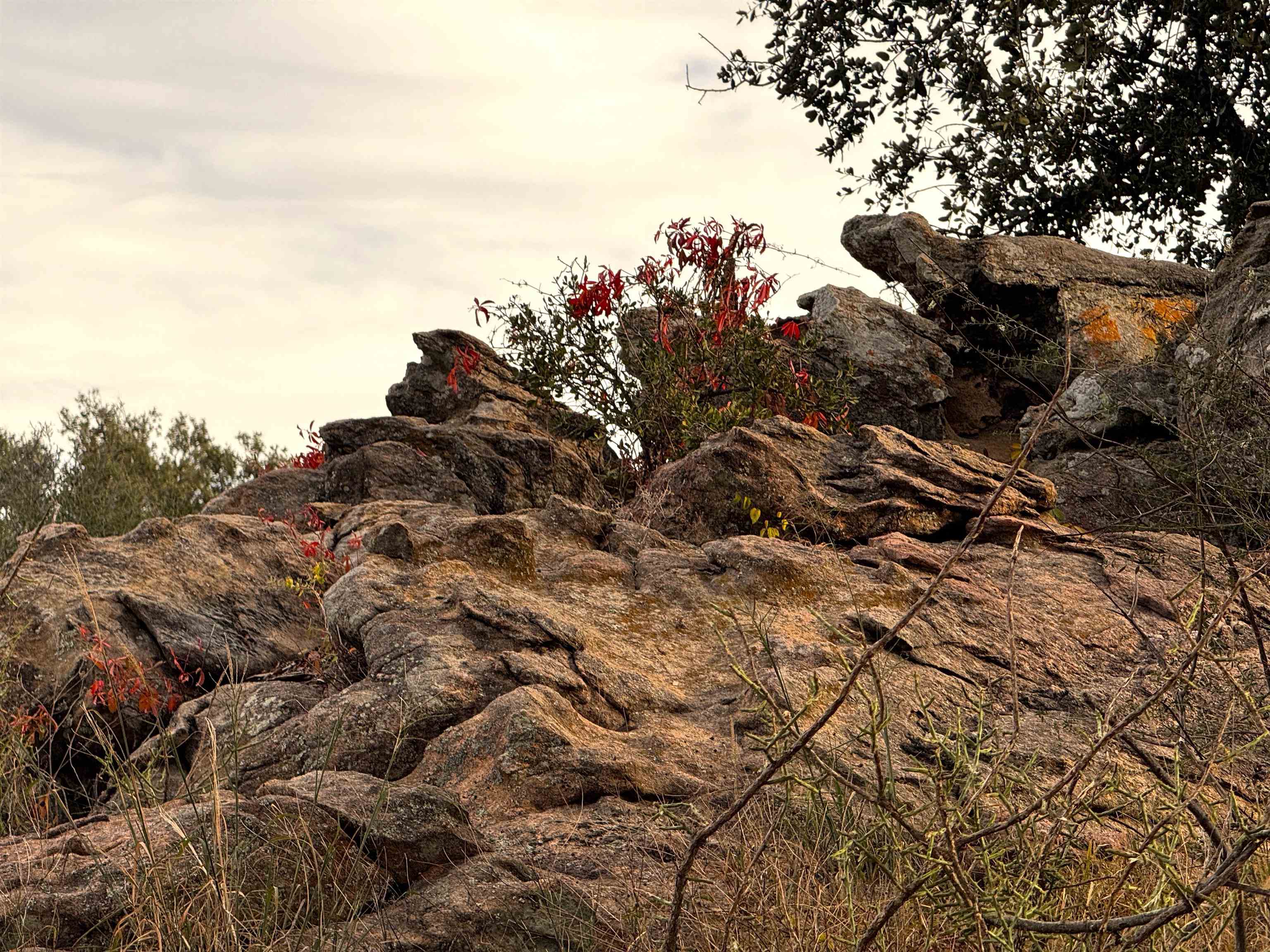 0 Hickory Grove Road