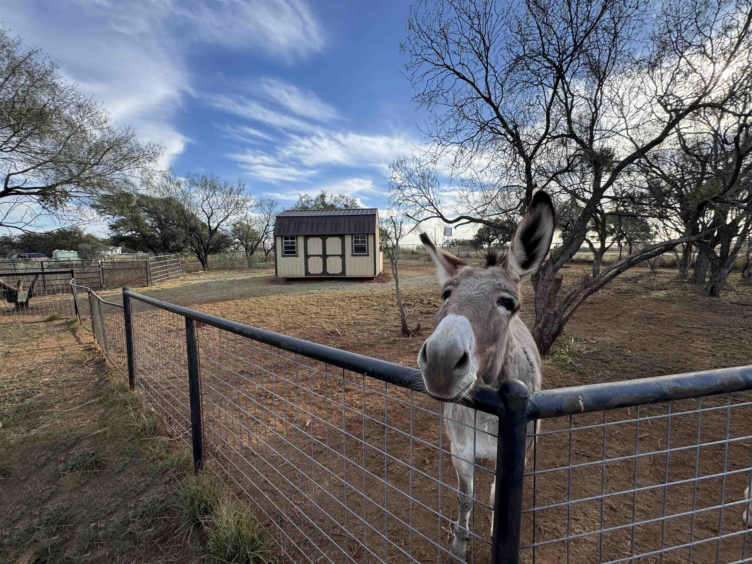 115 Field Stone Drive