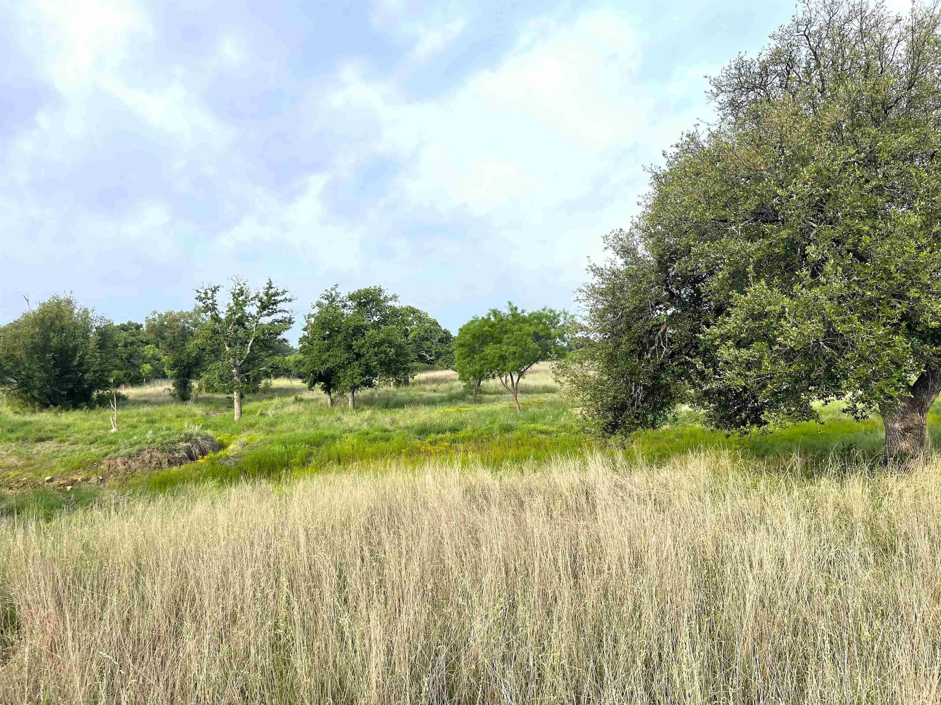 1111 Ranch Road 2768