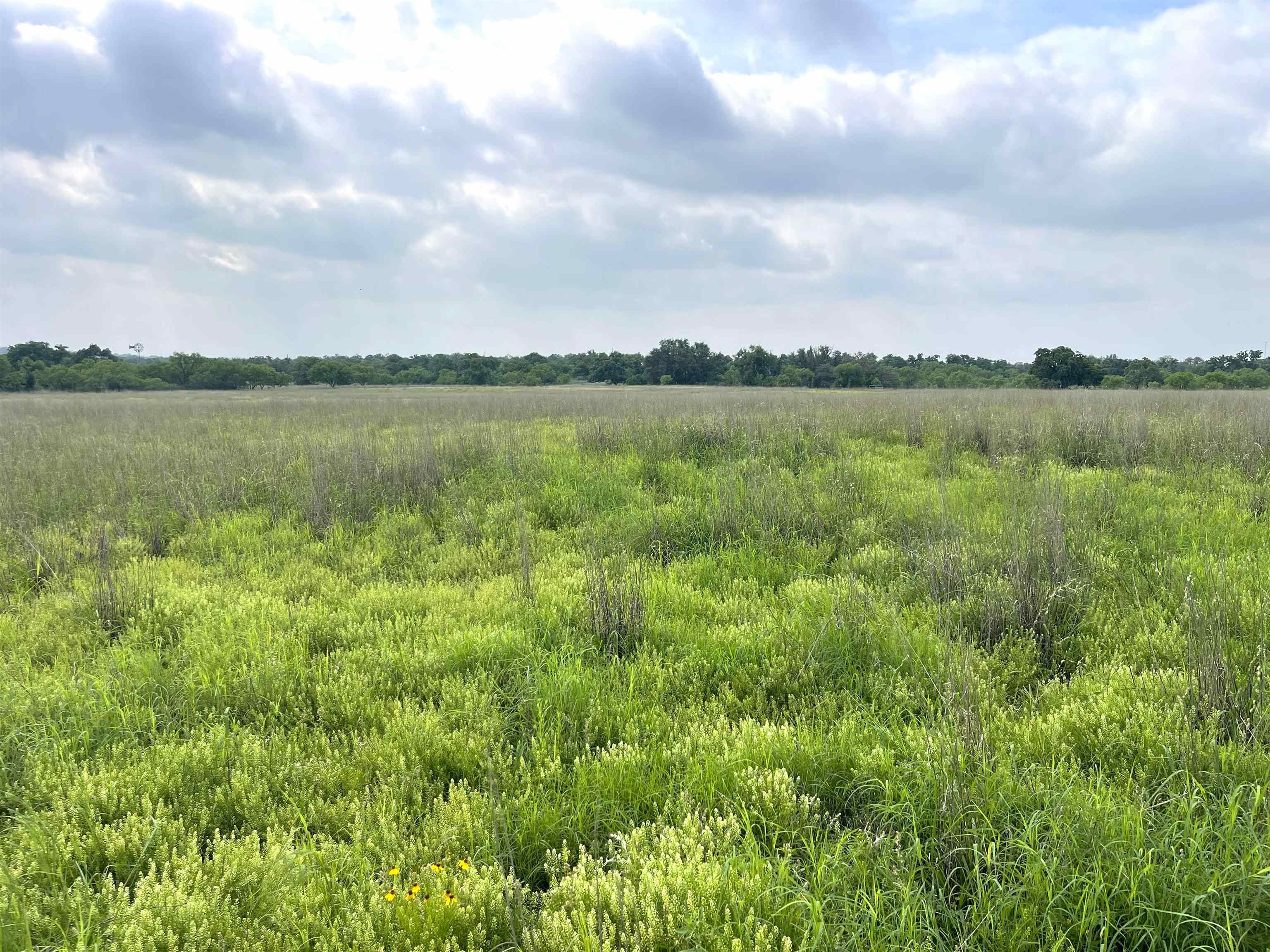 1111 Ranch Road 2768