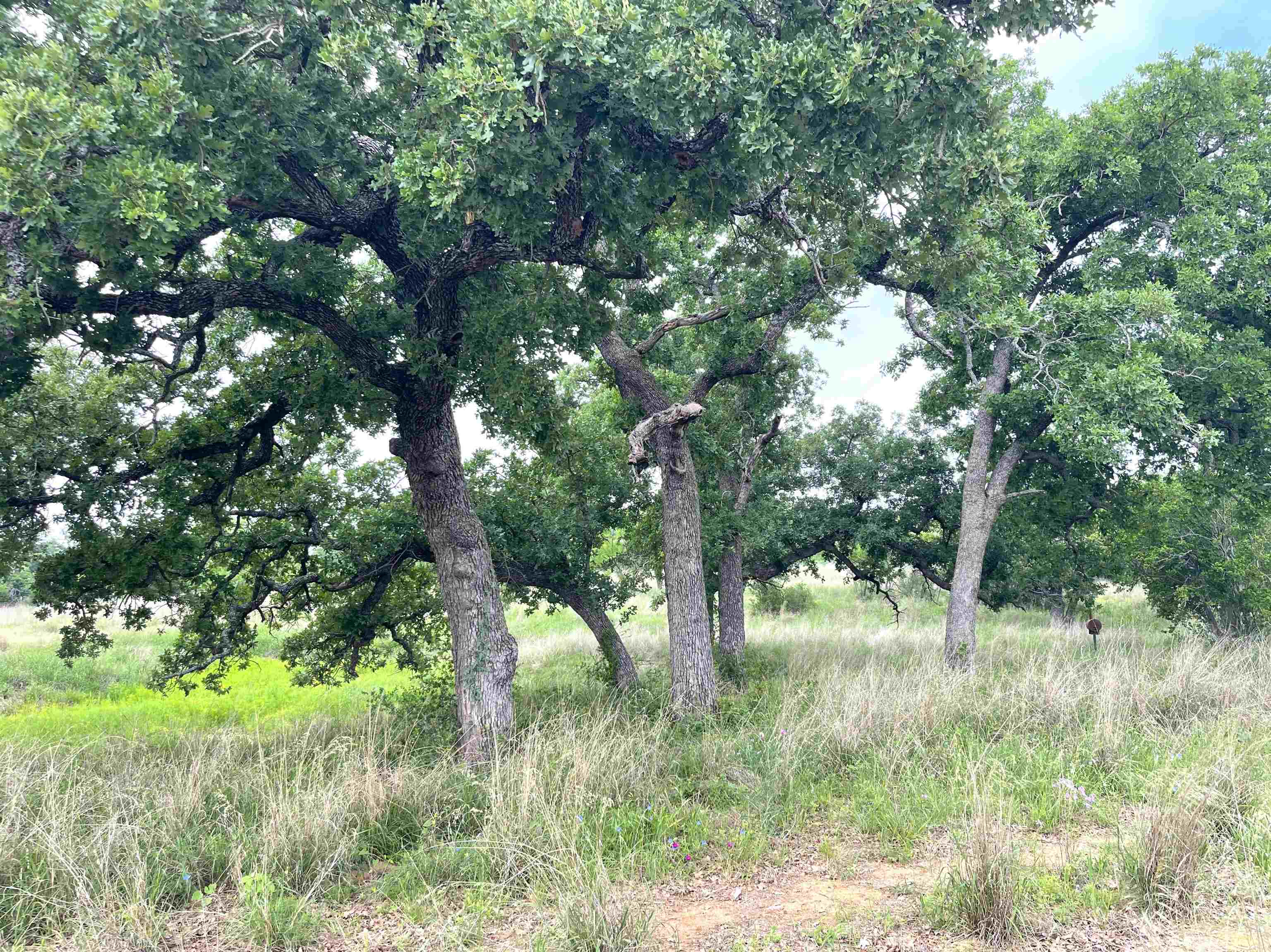 1111 Ranch Road 2768