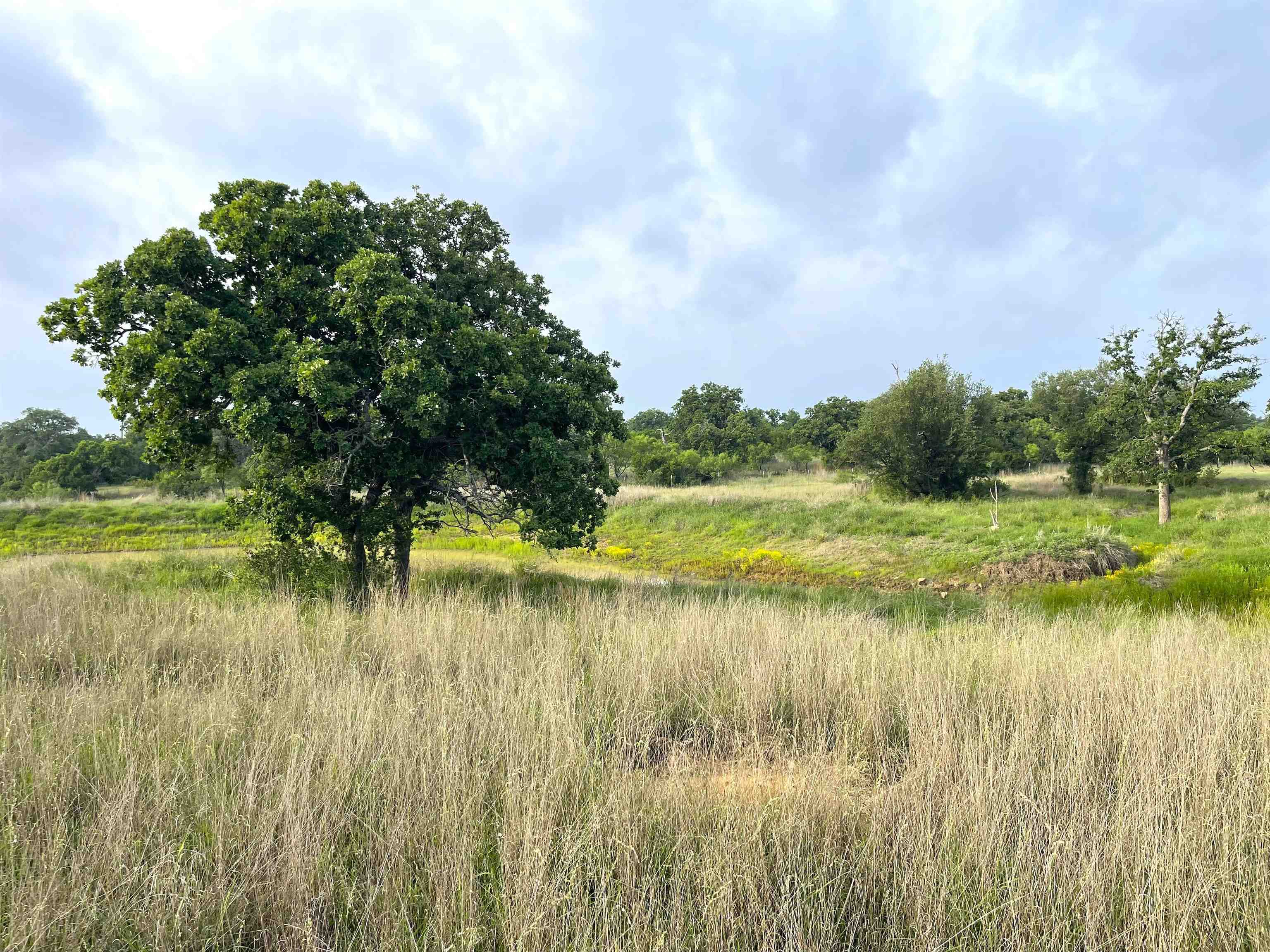 1111 Ranch Road 2768