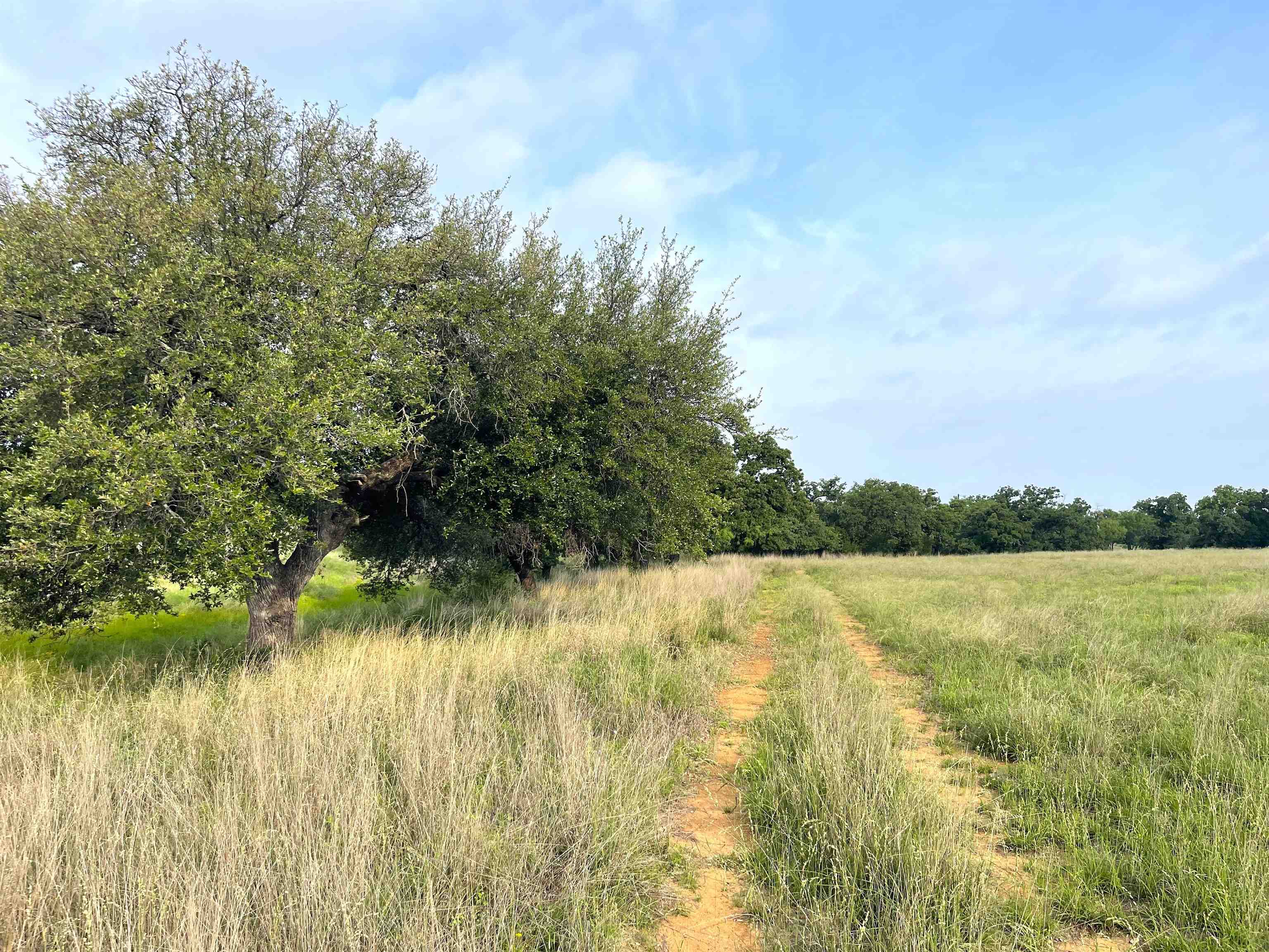 1111 Ranch Road 2768