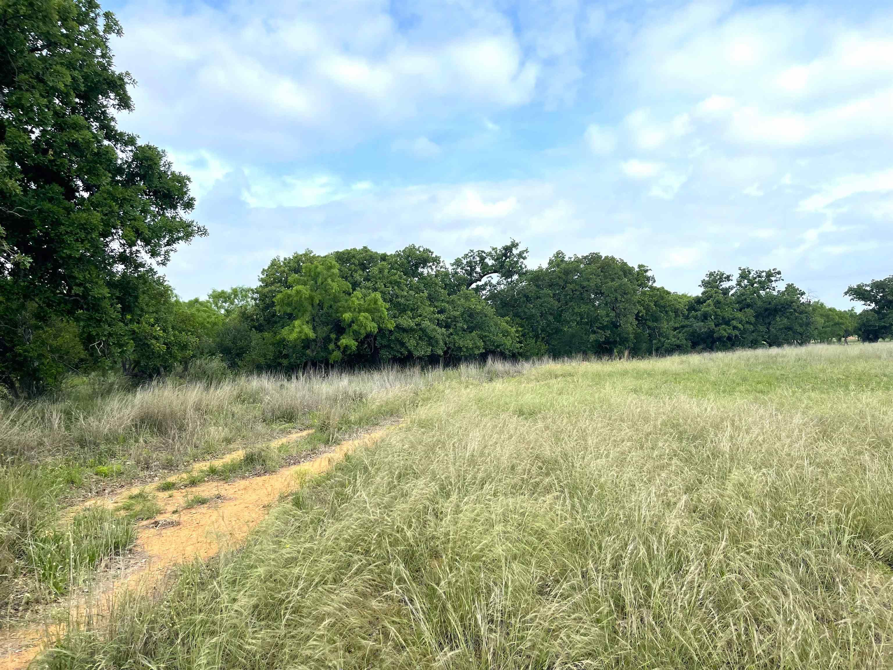 1111 Ranch Road 2768