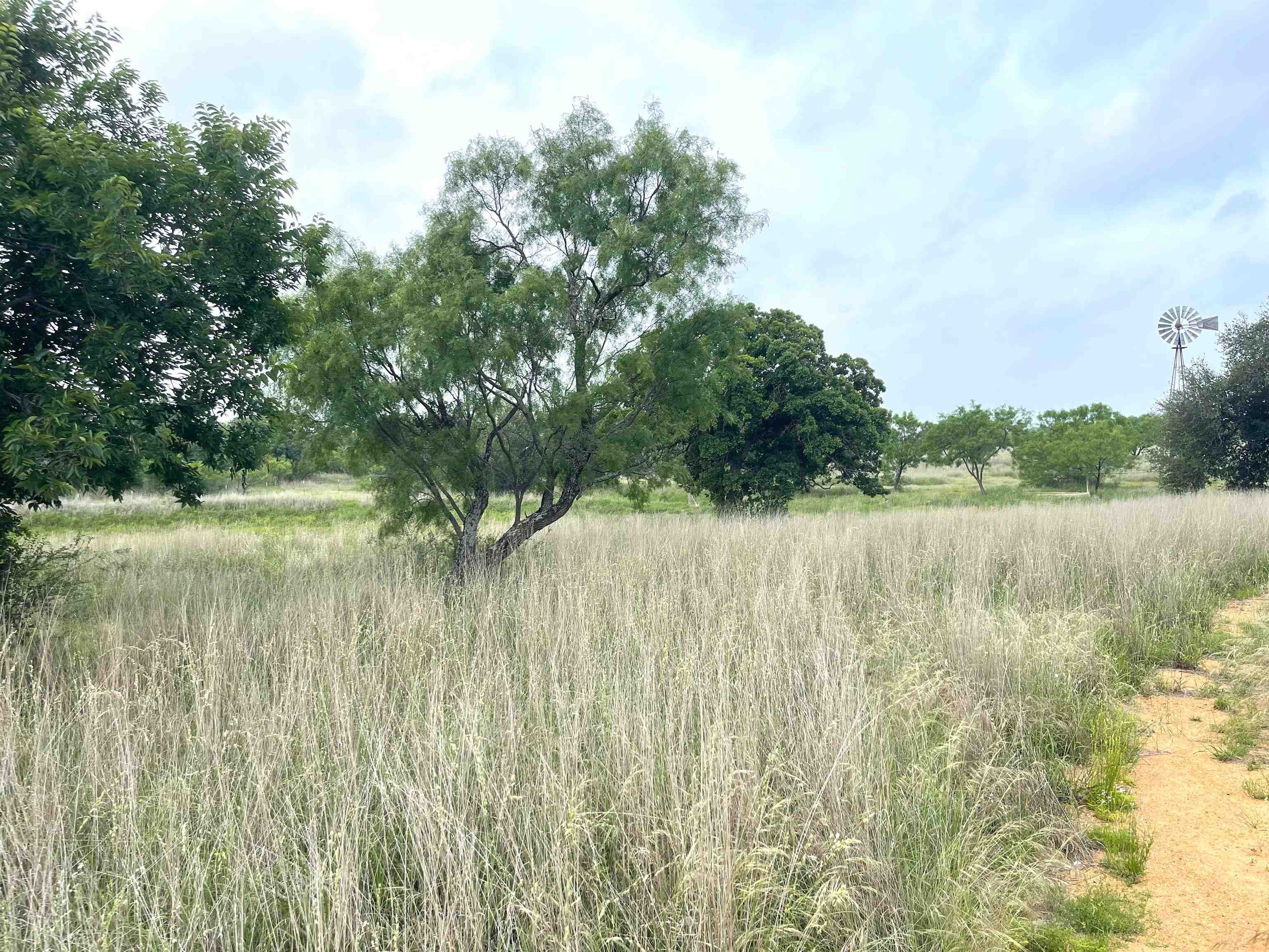 1111 Ranch Road 2768