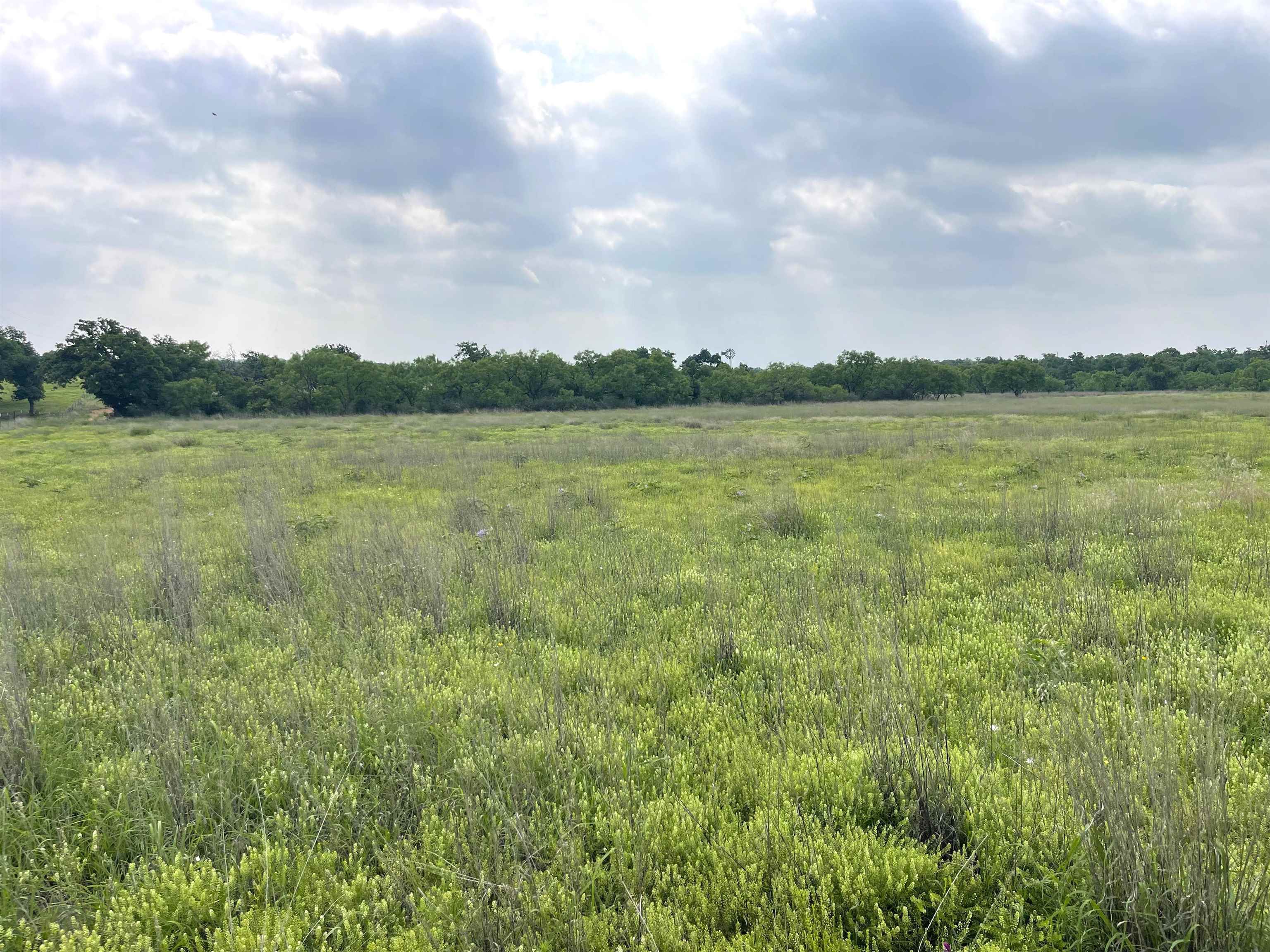 1111 Ranch Road 2768