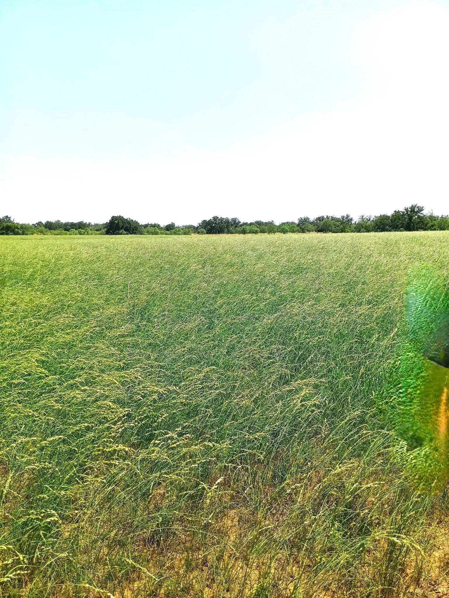 1111 Ranch Road 2768