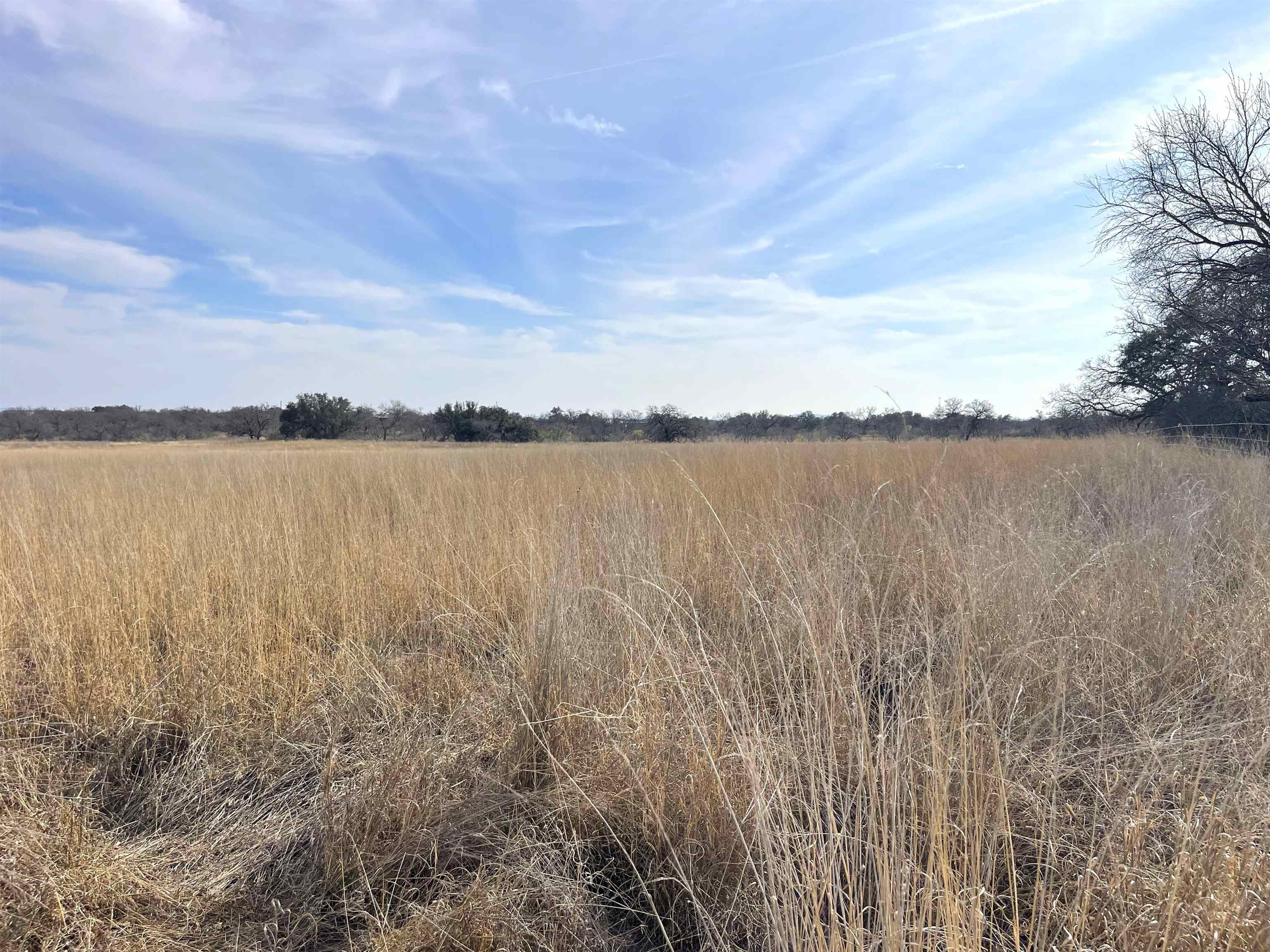 1111 Ranch Road 2768