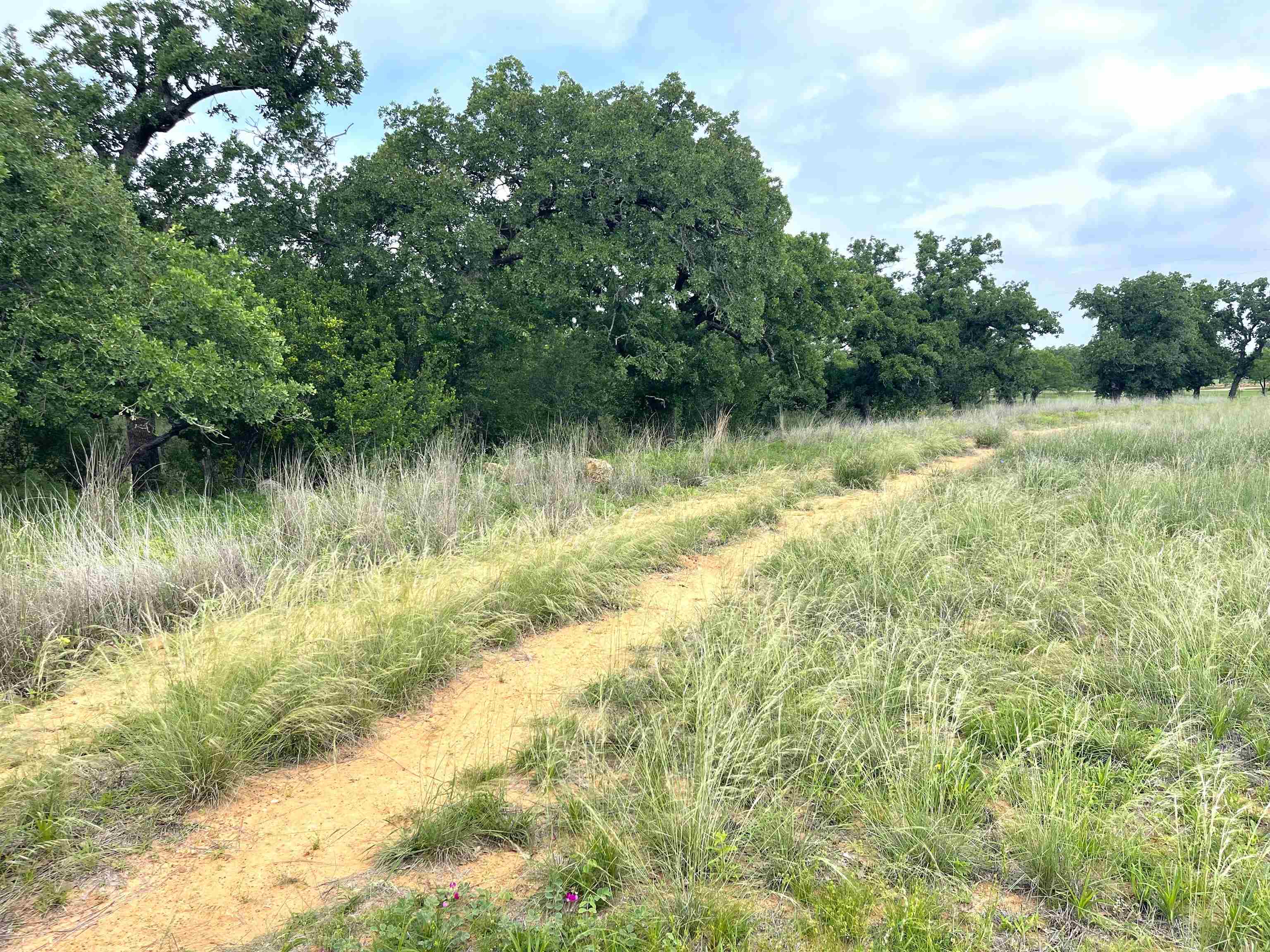 1111 Ranch Road 2768