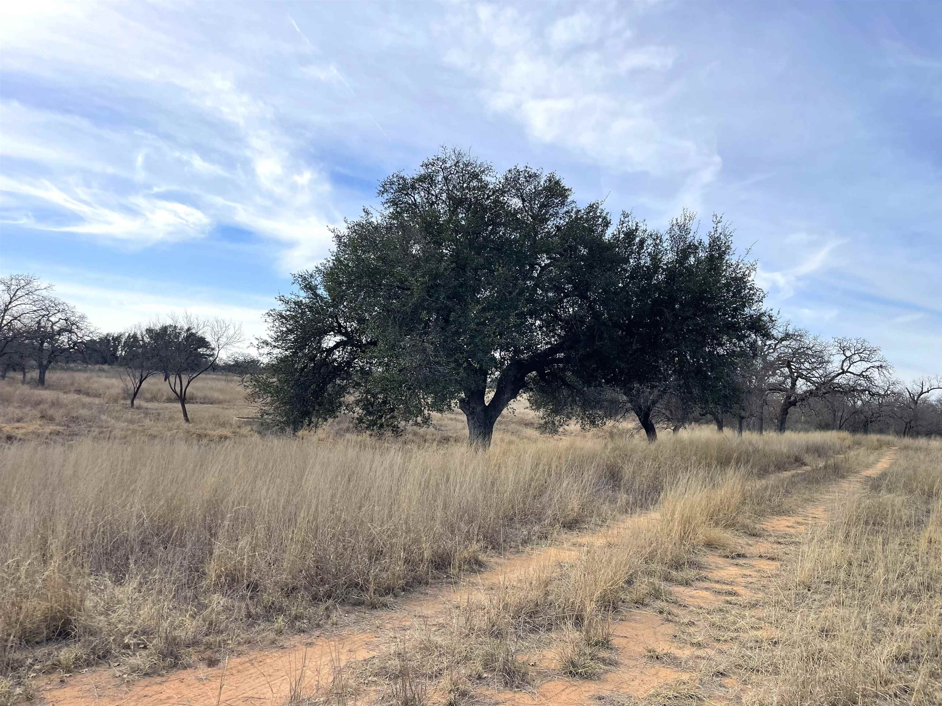 1111 Ranch Road 2768