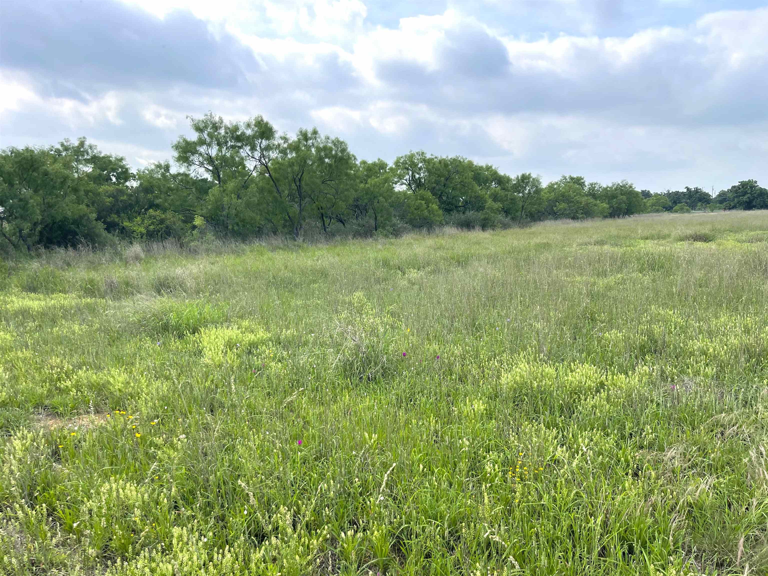 1111 Ranch Road 2768