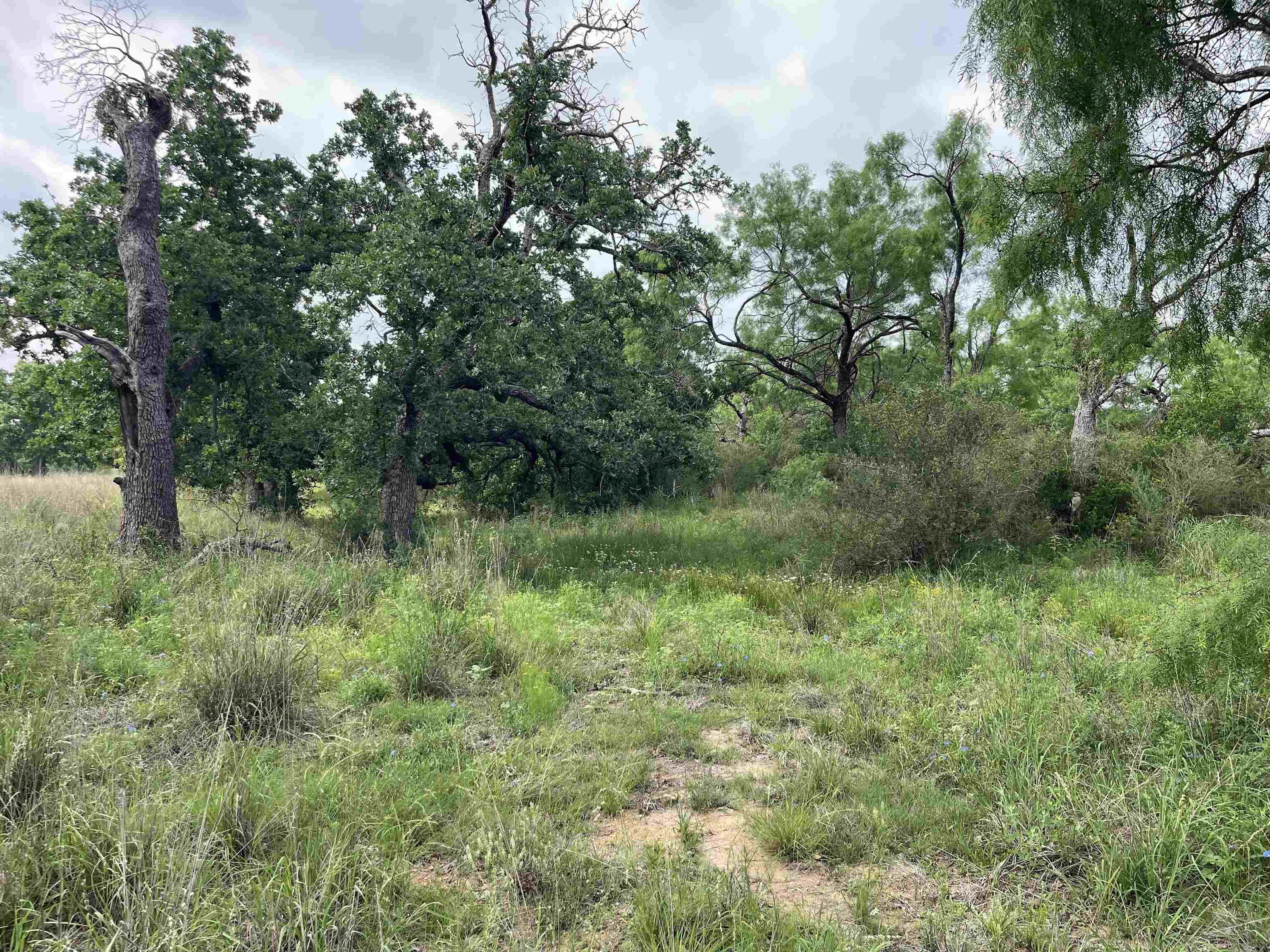 1111 Ranch Road 2768