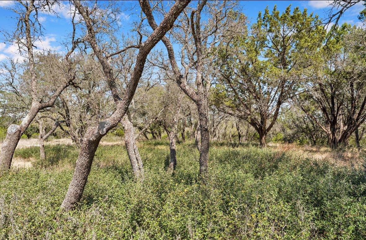 TBD Rocky Hollow Lot 89