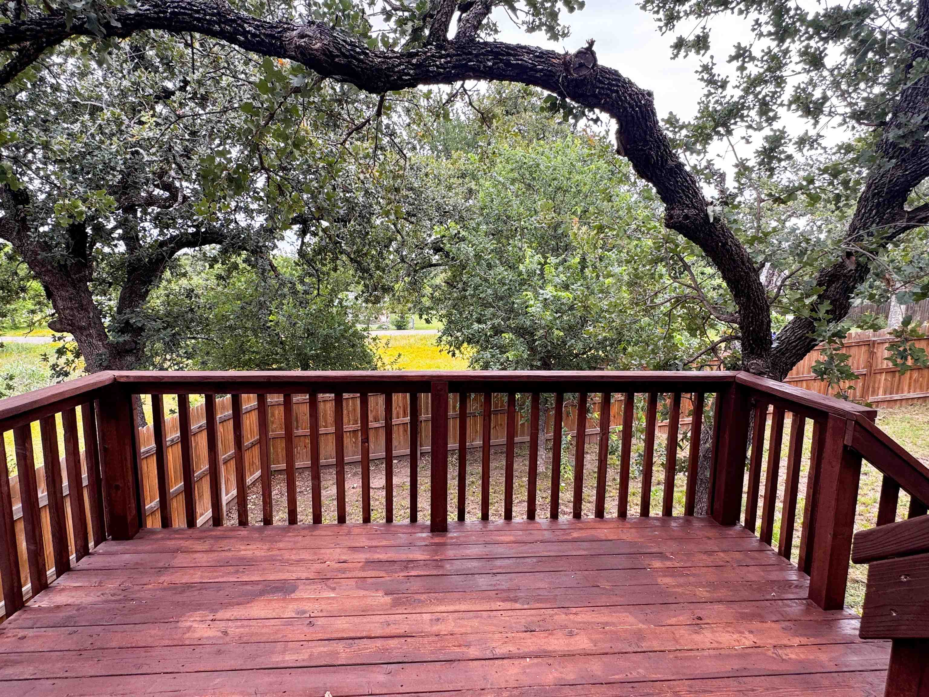 1637 Packsaddle Trail