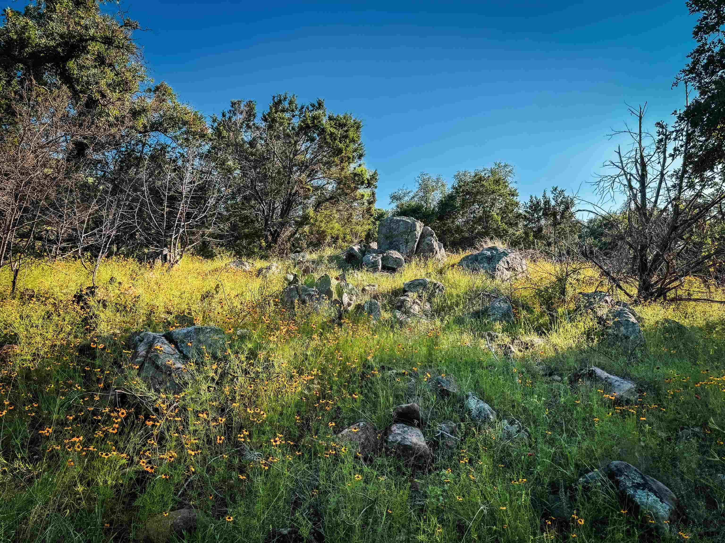 1520 County Road 226