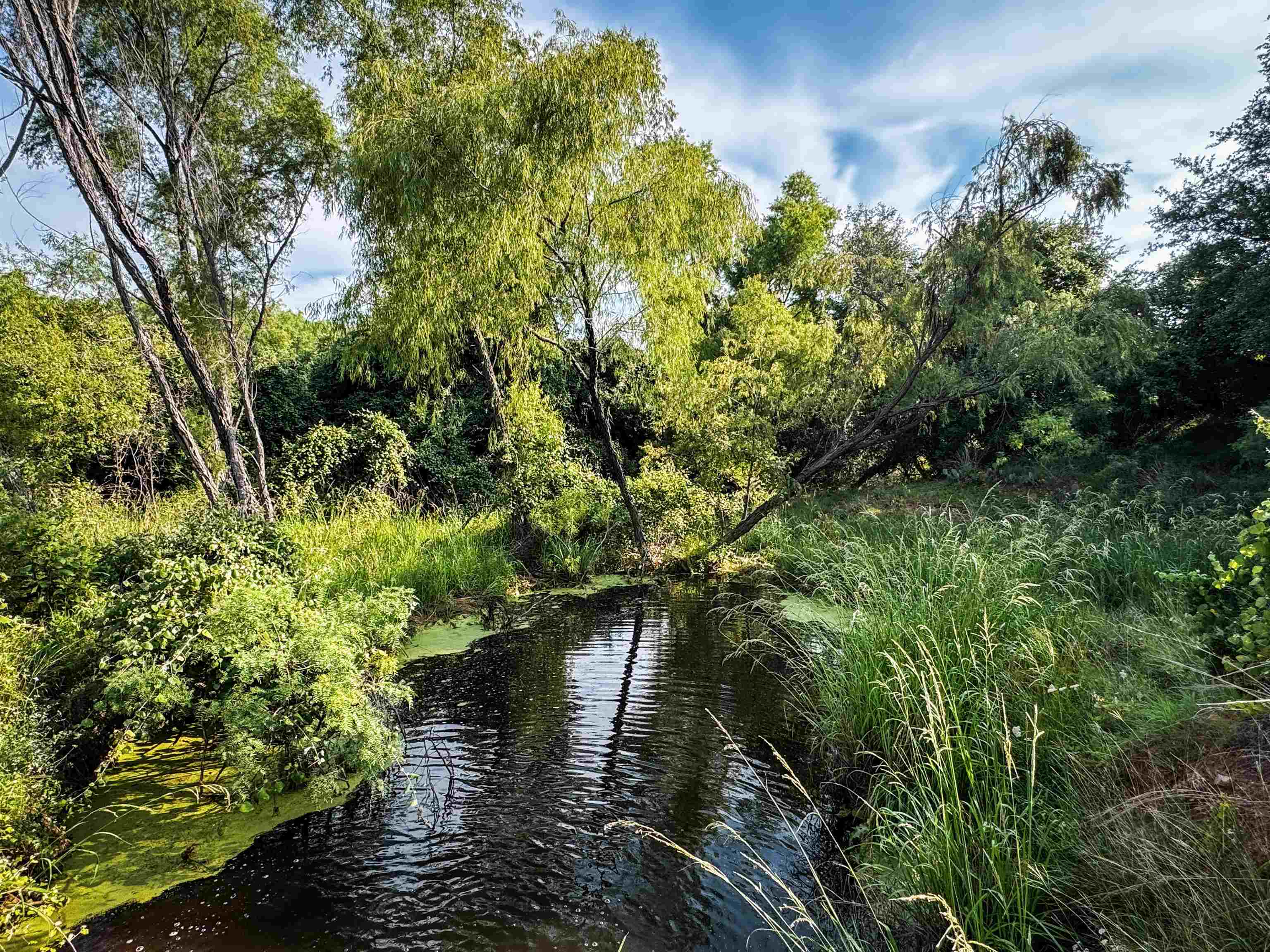 1520 County Road 226