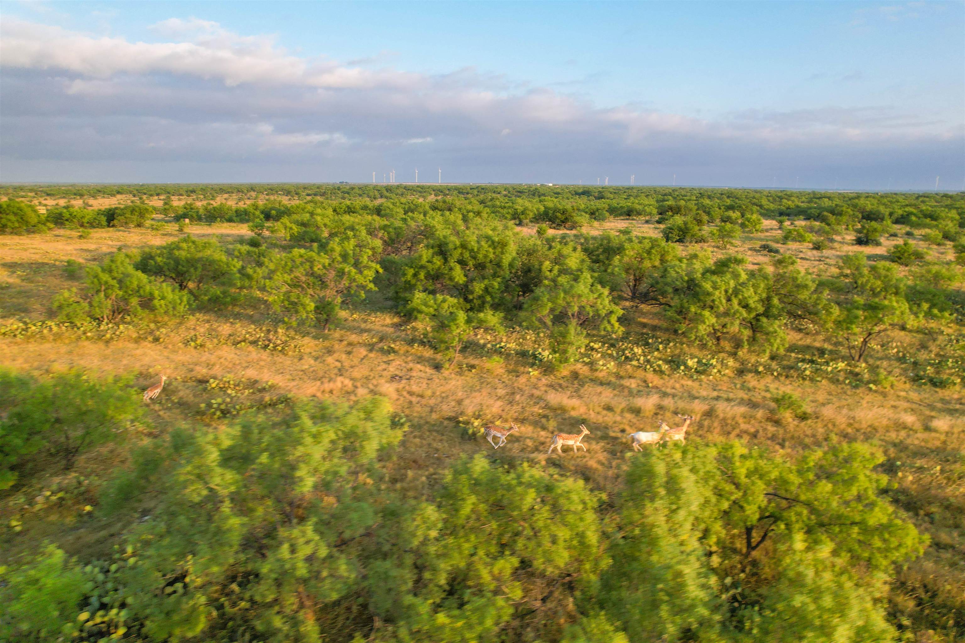364 CR 2019 Road