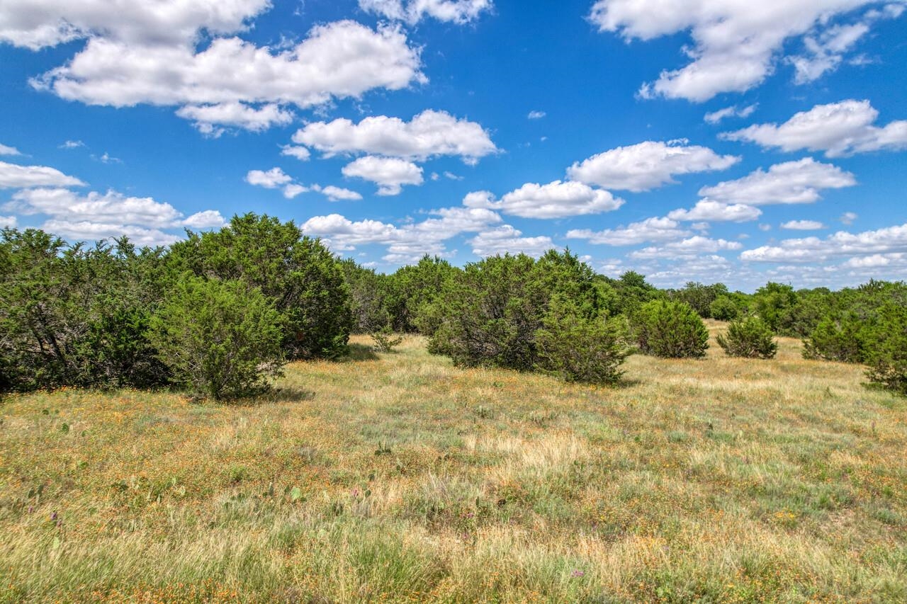 Lot 24 Rifle Ridge