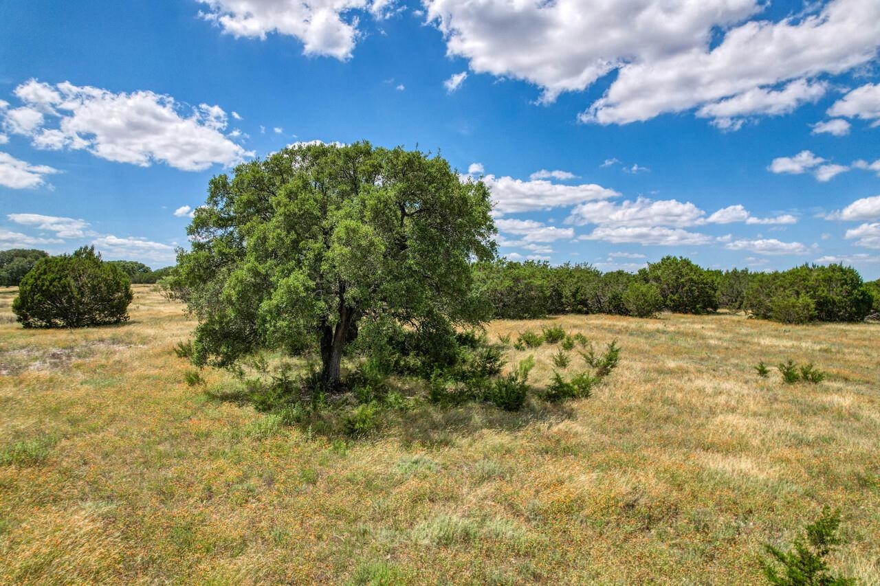 Lot 24 Rifle Ridge