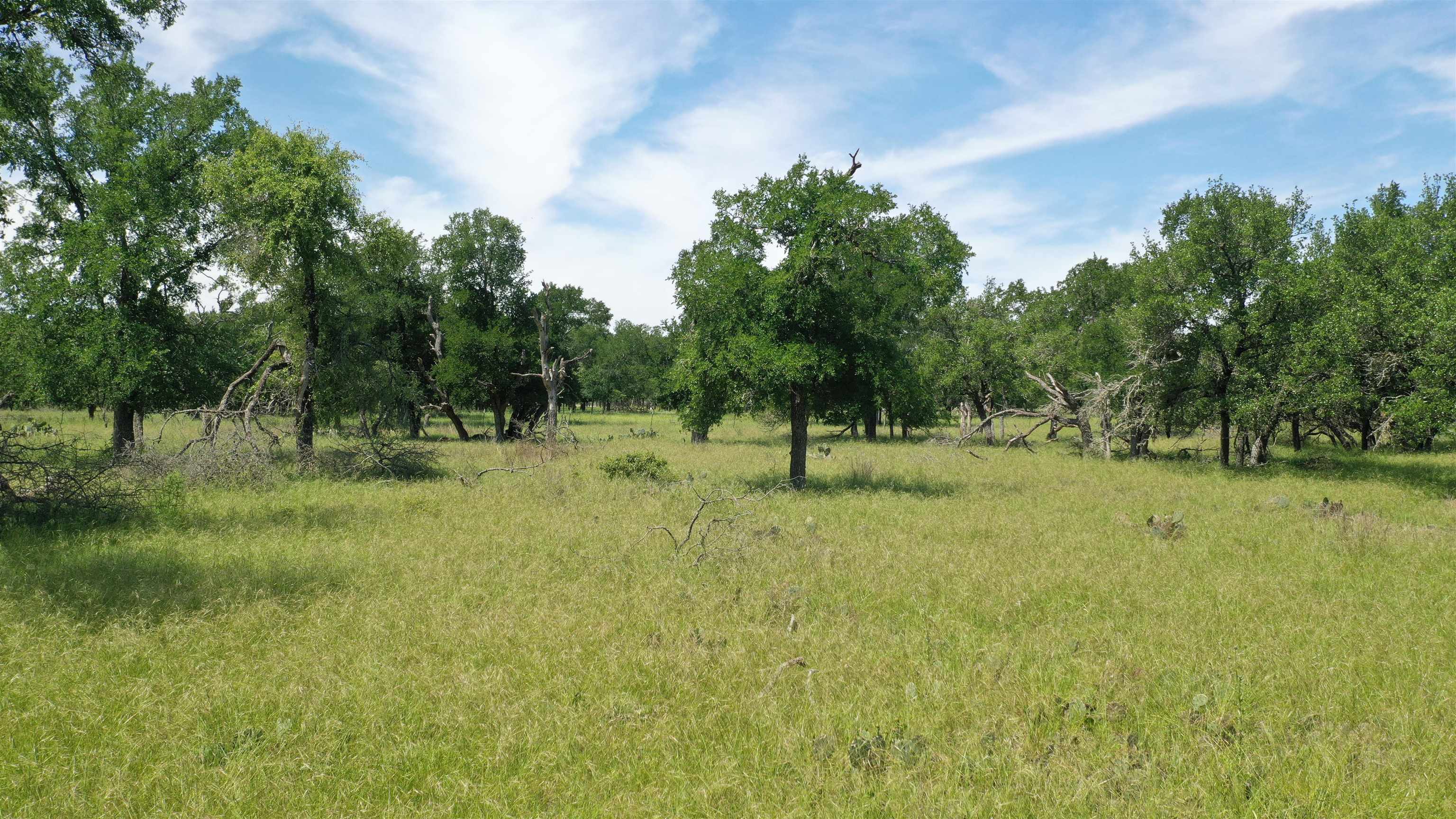 3215 County Road 305