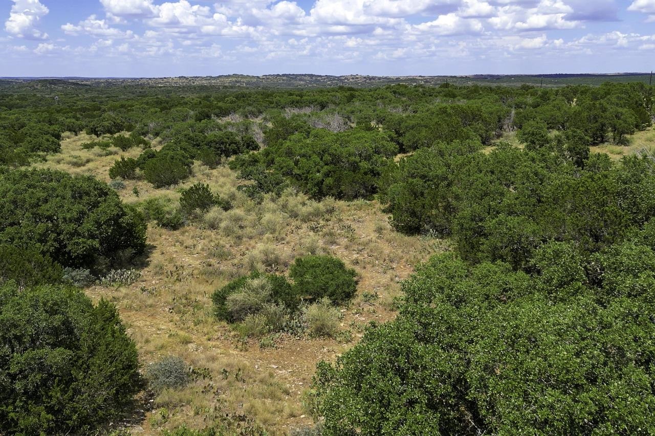 1662 Hill Top Trail