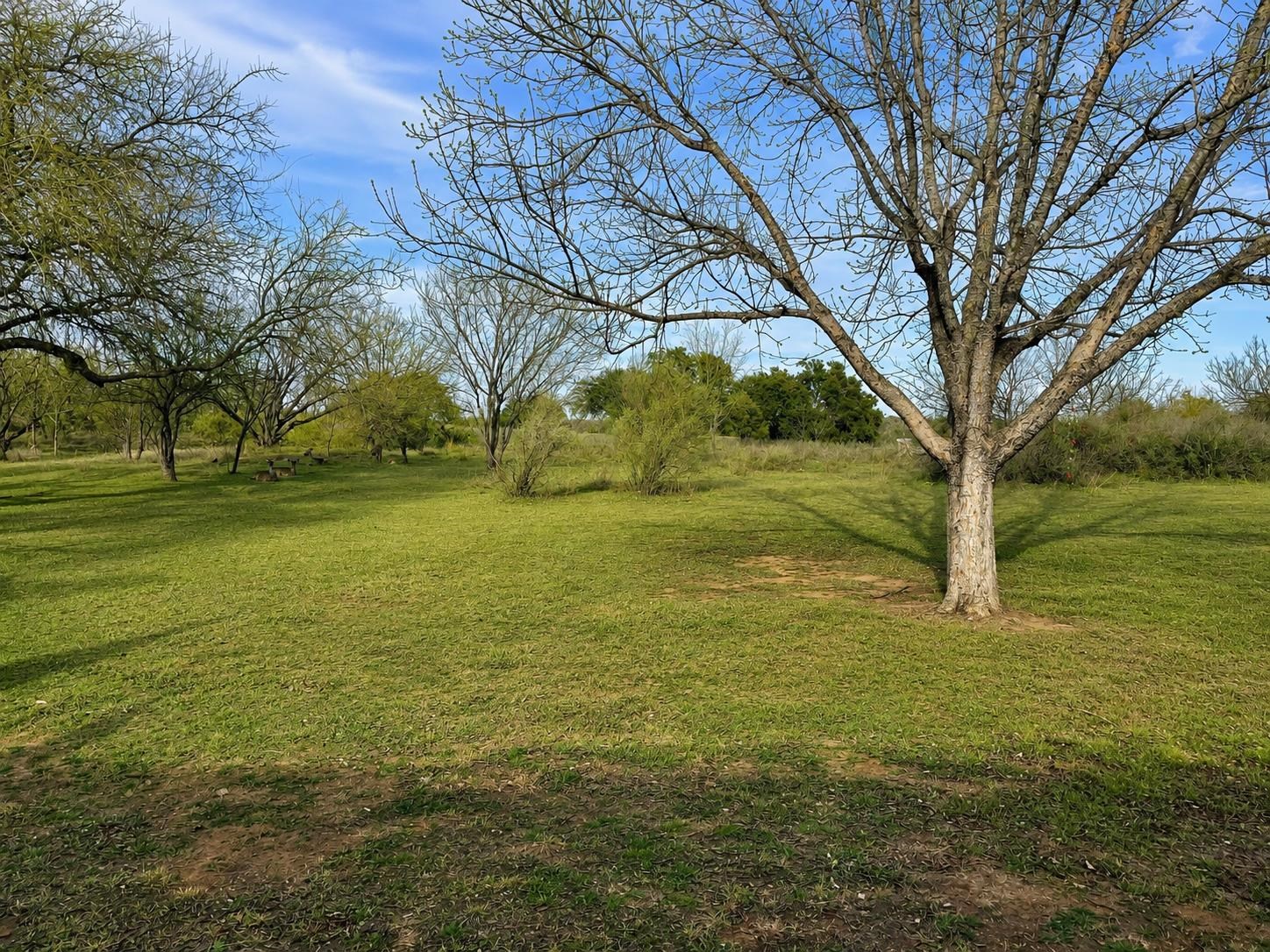 210 Skyline Drive