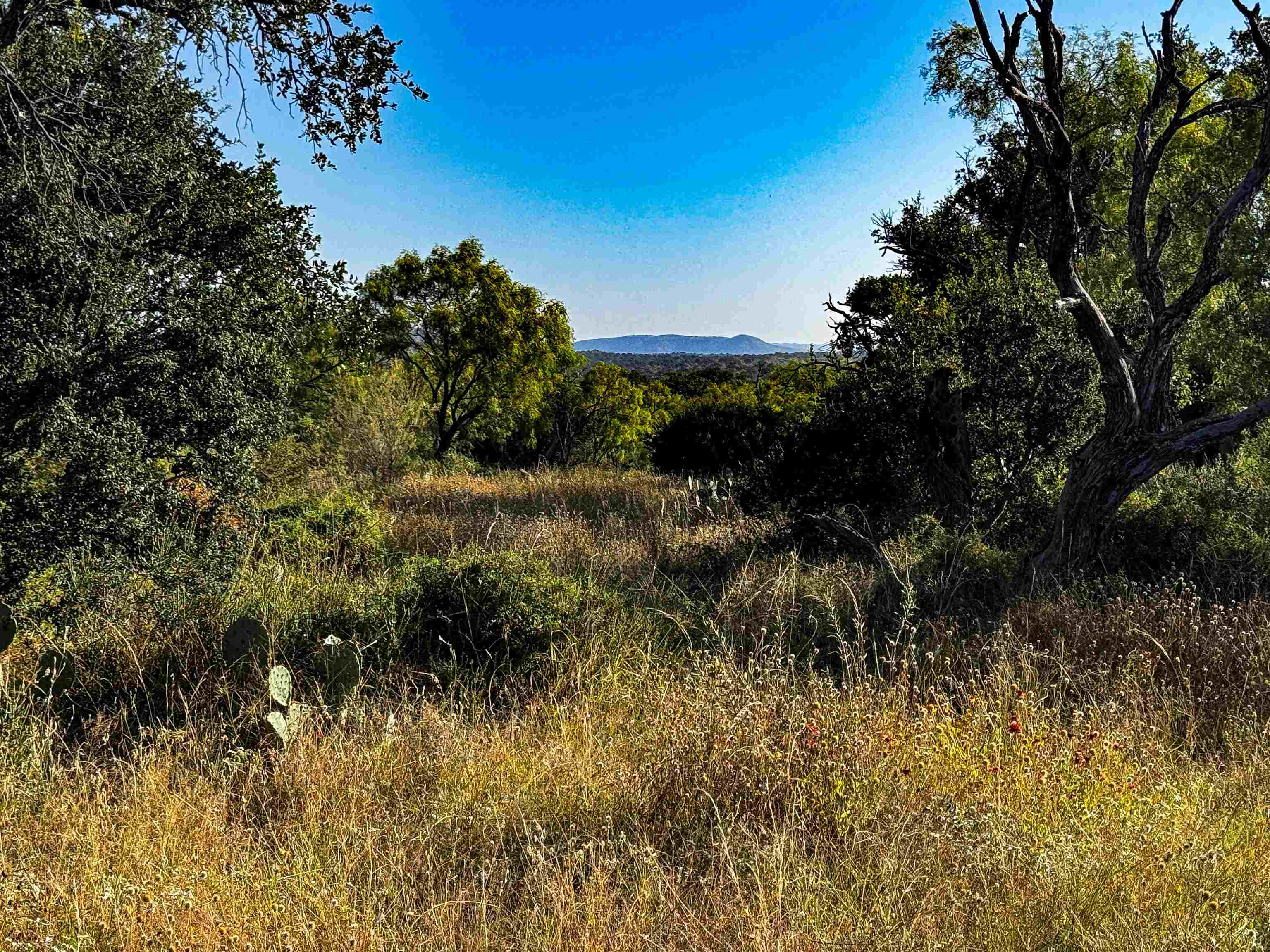 000 W Hwy 29