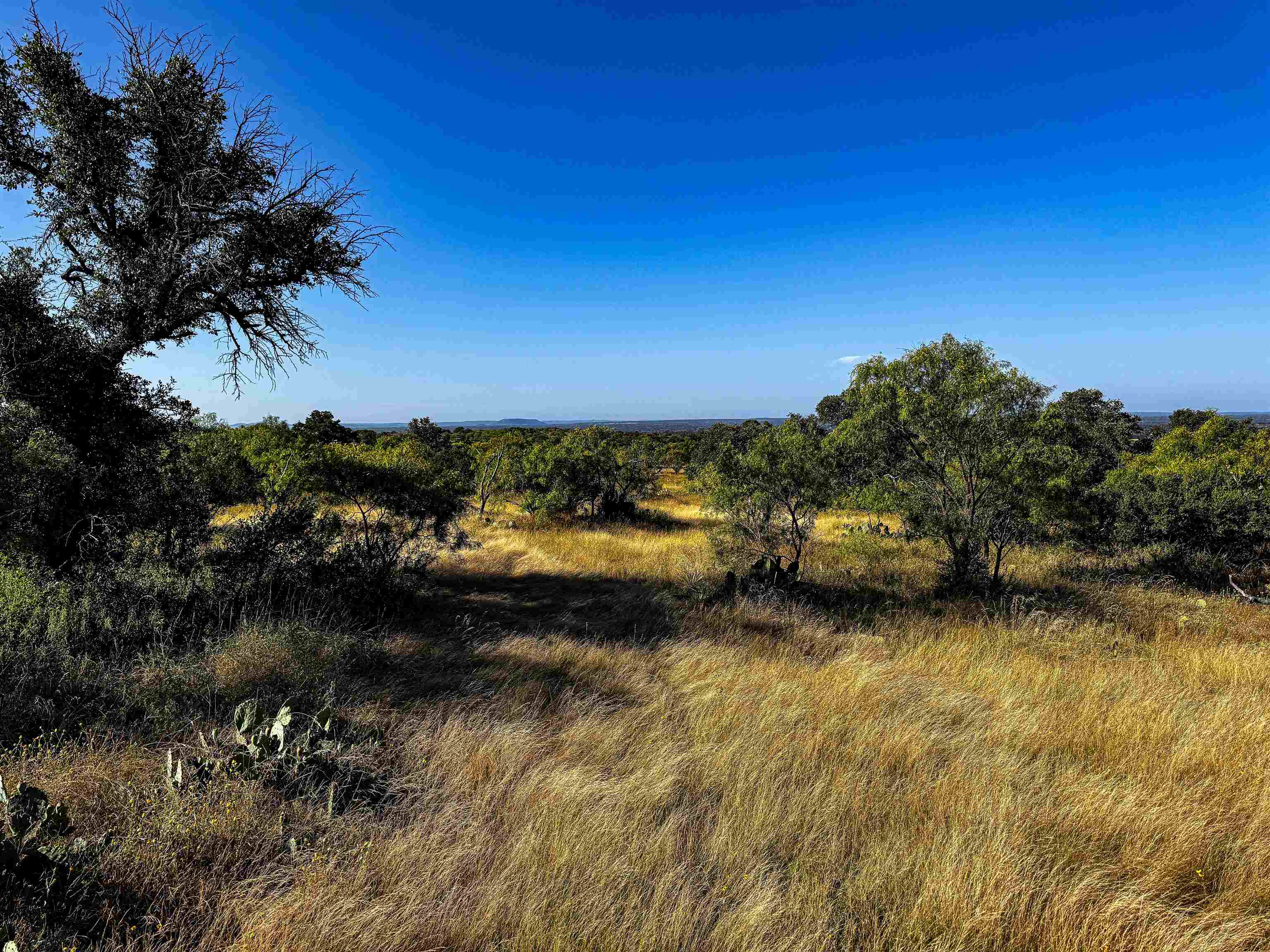 000 W Hwy 29
