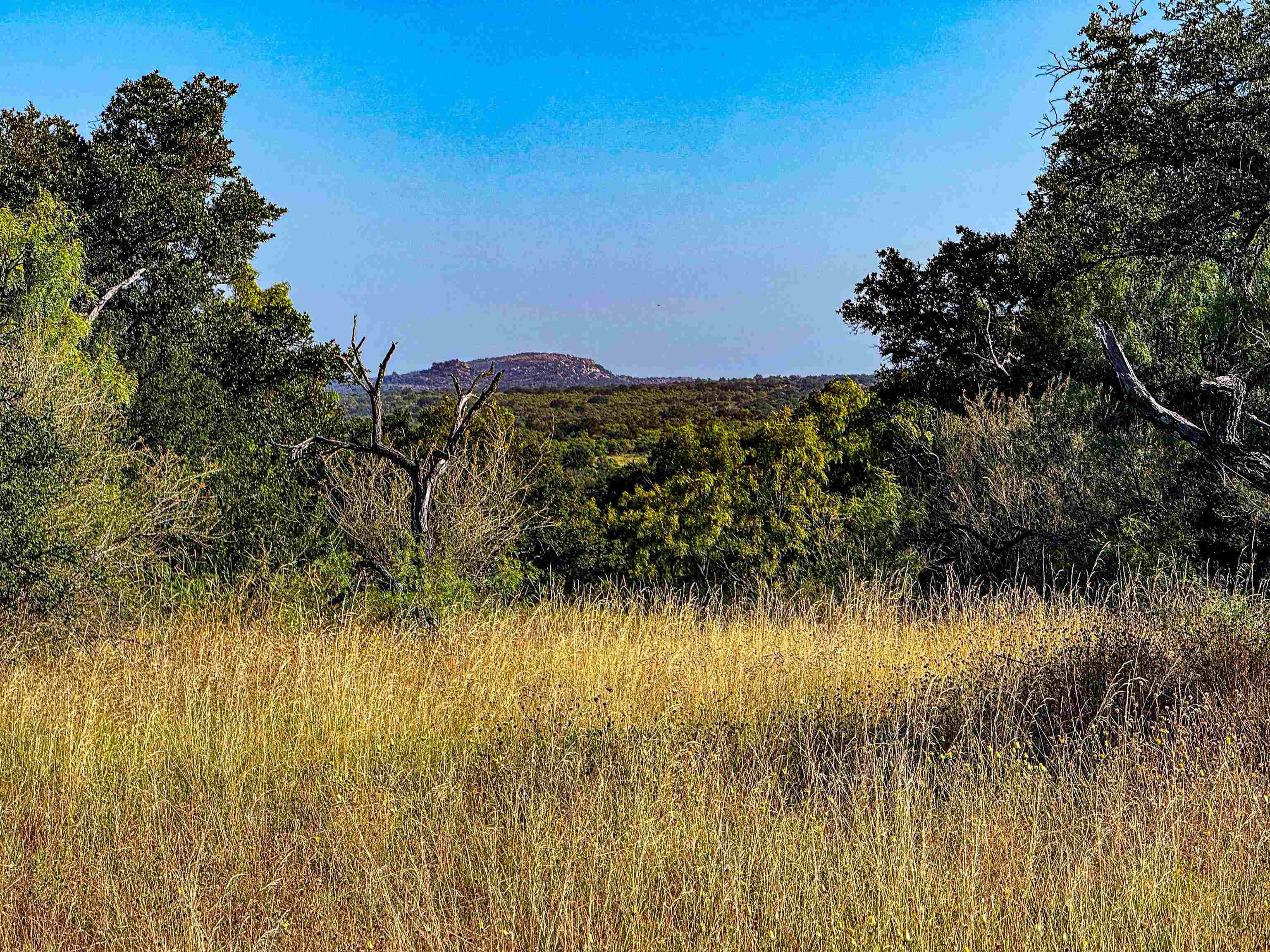 000 W Hwy 29