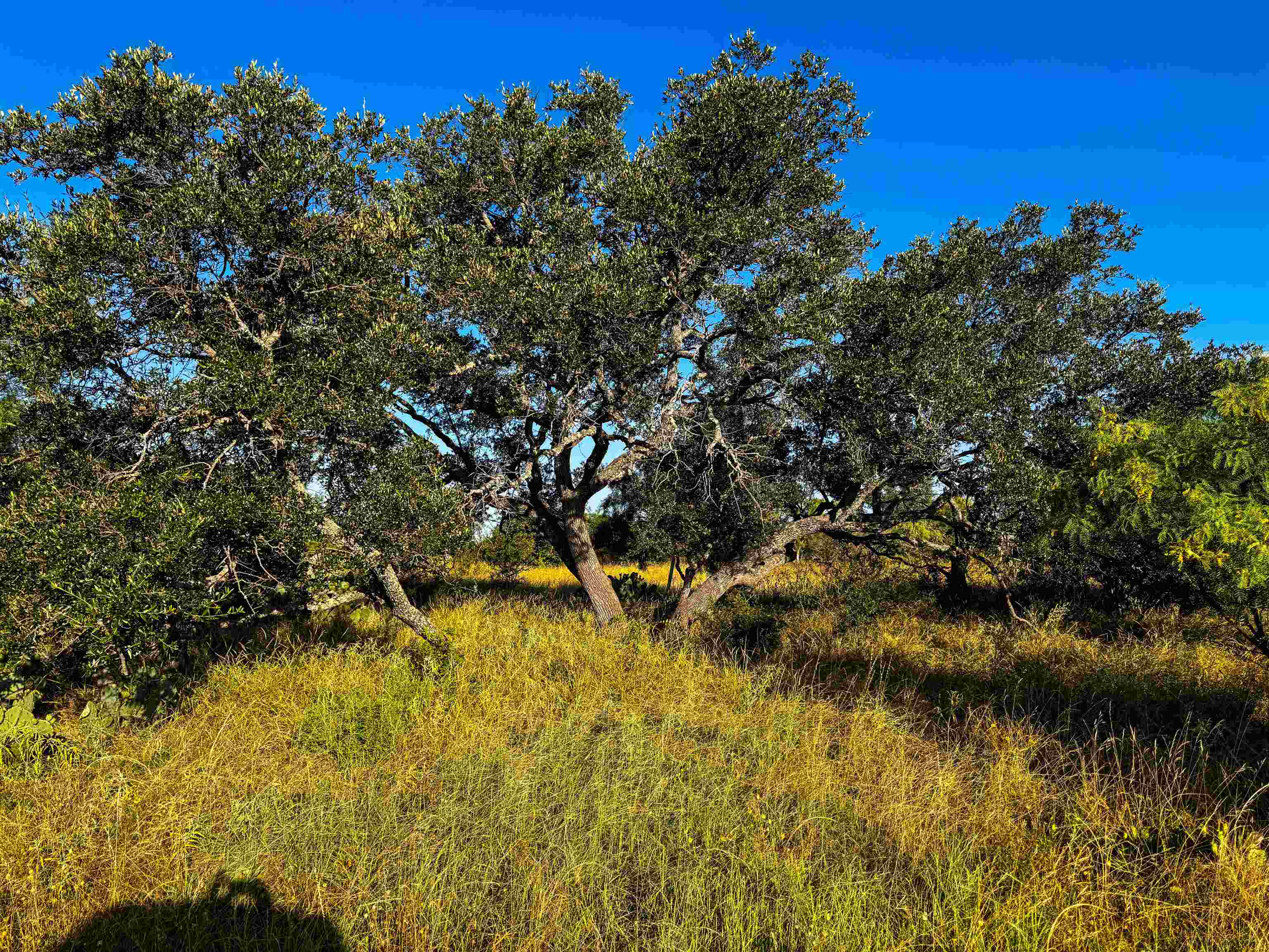 000 W Hwy 29 Highway