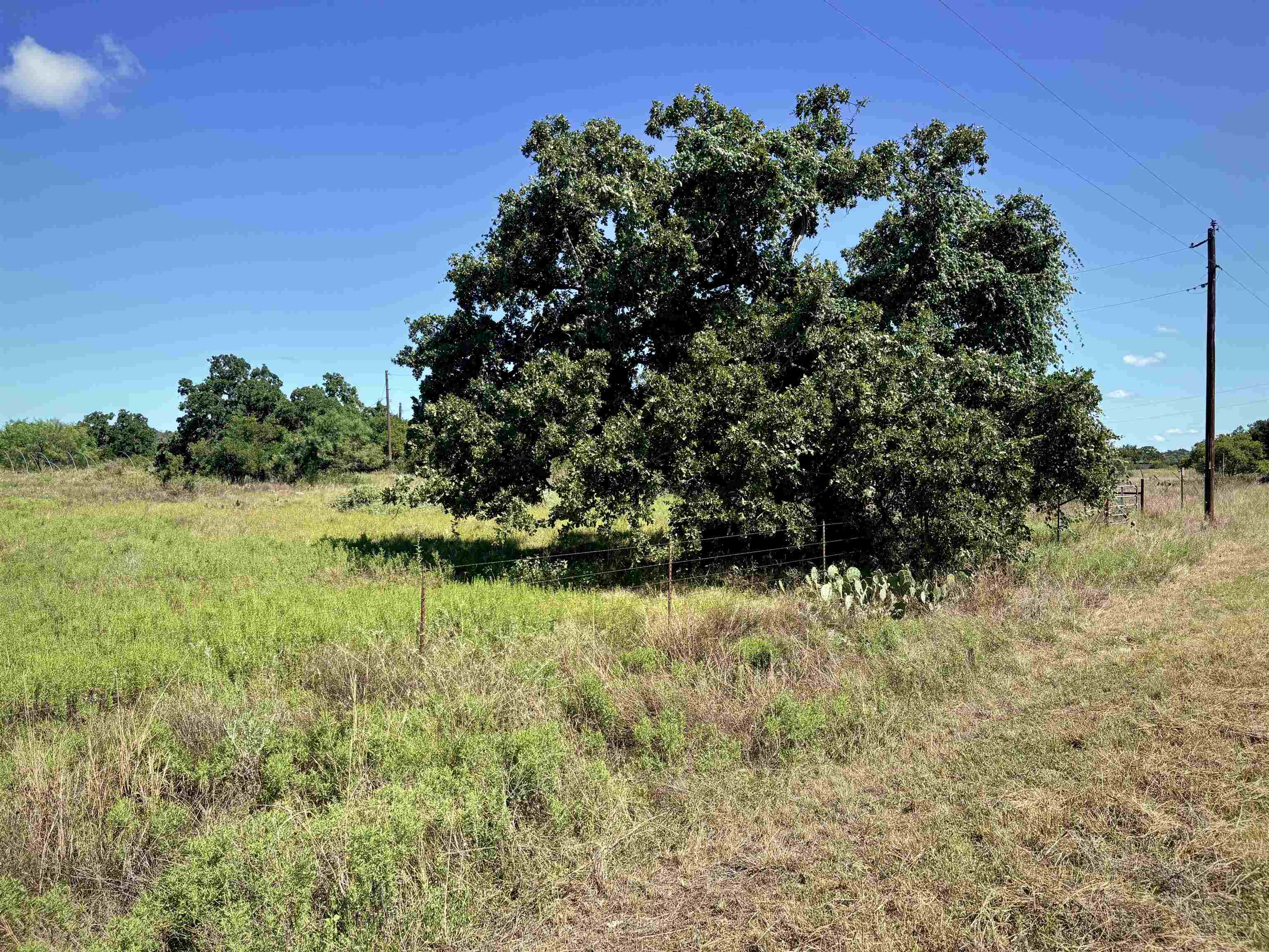 Buffalo Spring Circle