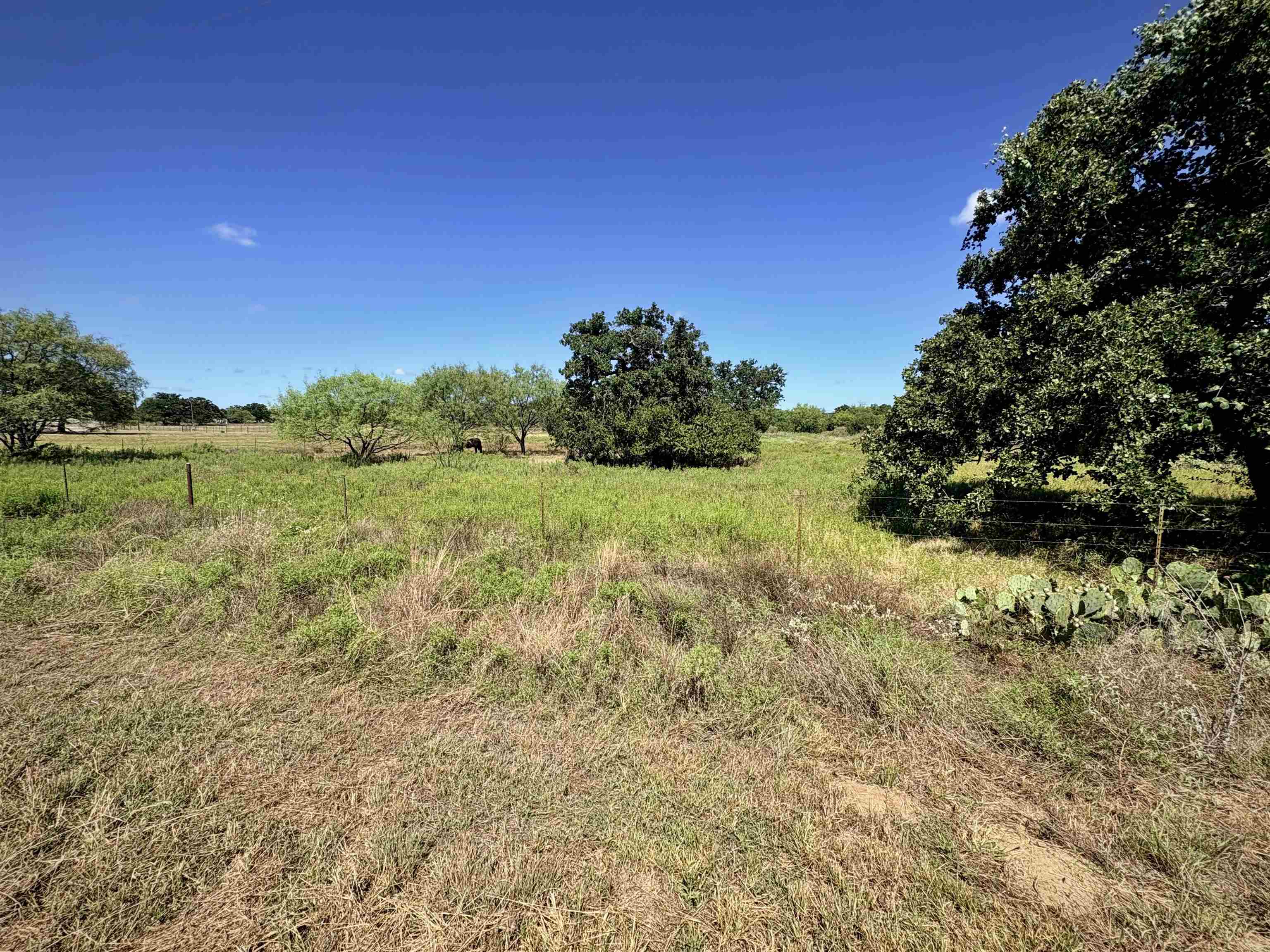 Buffalo Spring Circle
