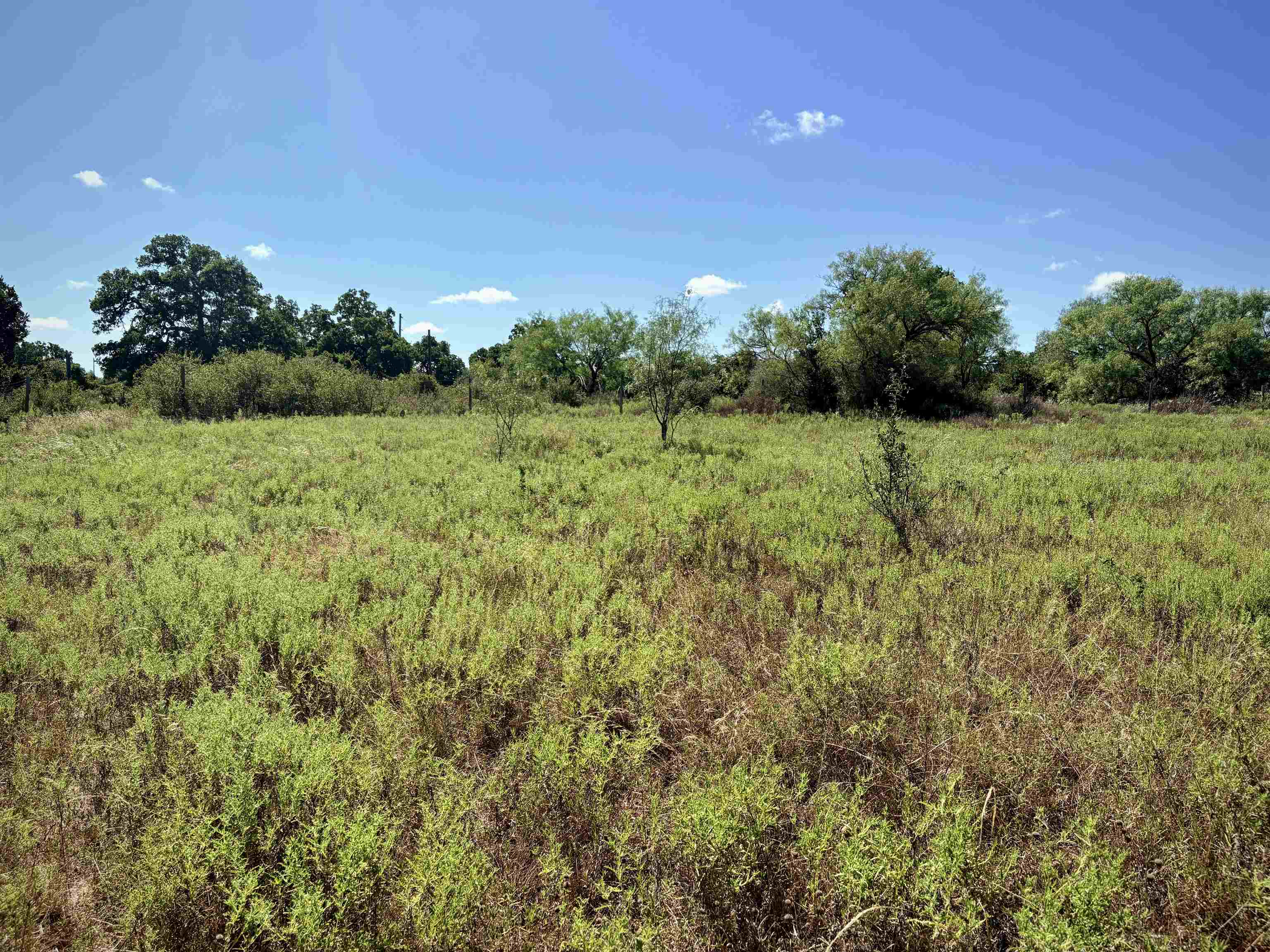 Buffalo Spring Circle