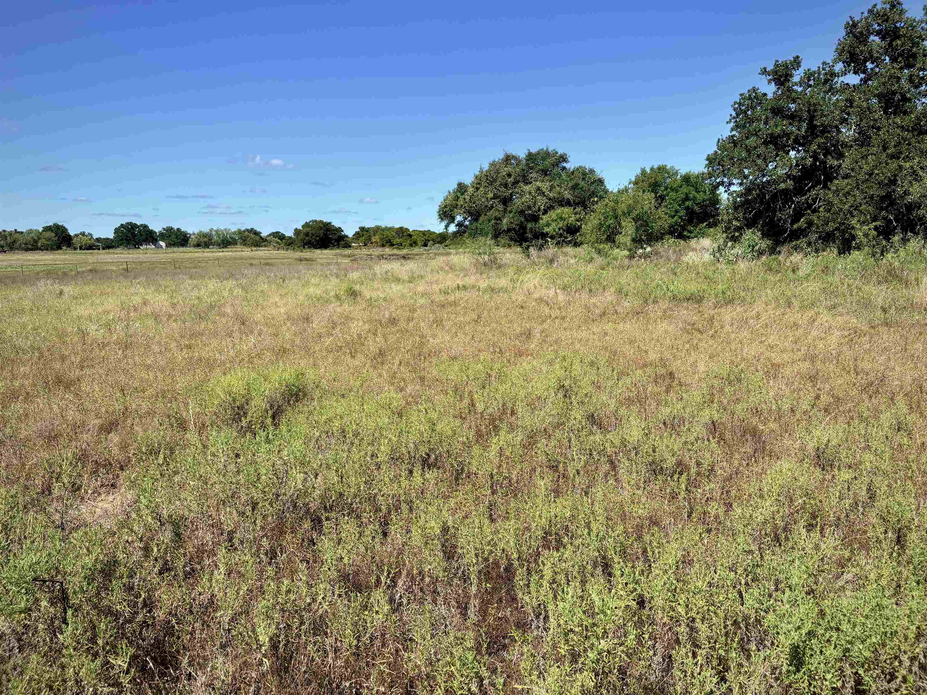 Buffalo Spring Circle