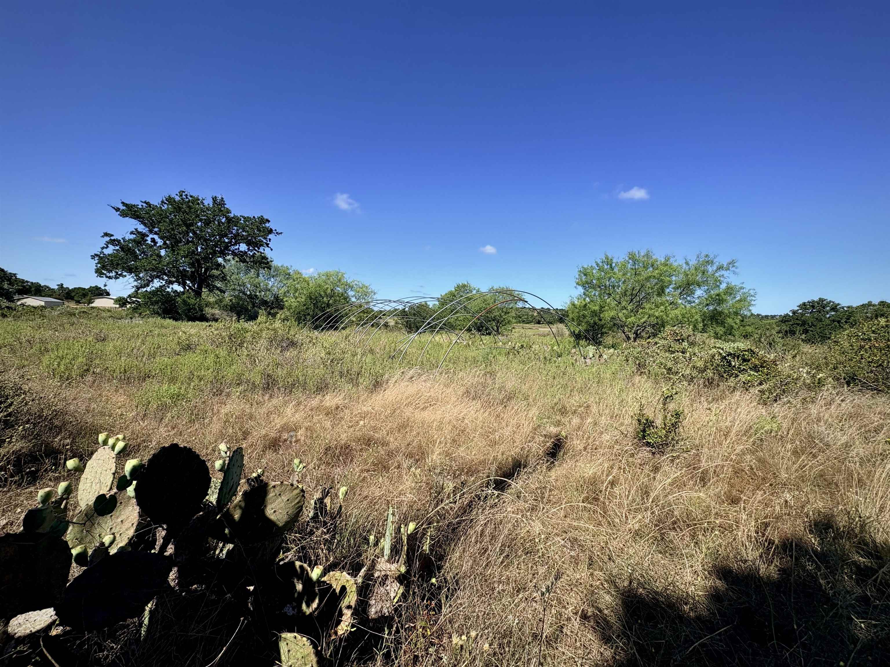Buffalo Spring Circle