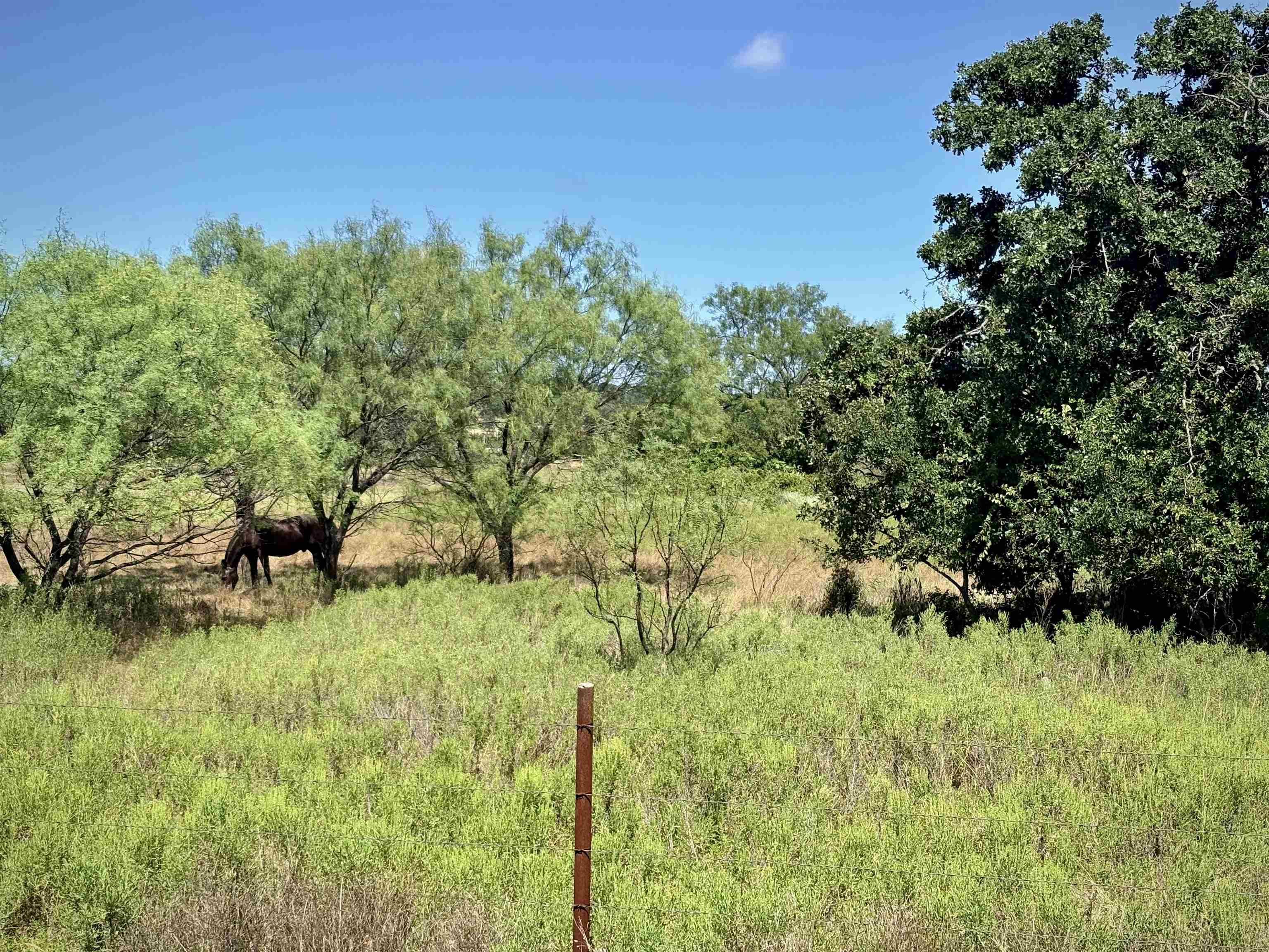 Buffalo Spring Circle