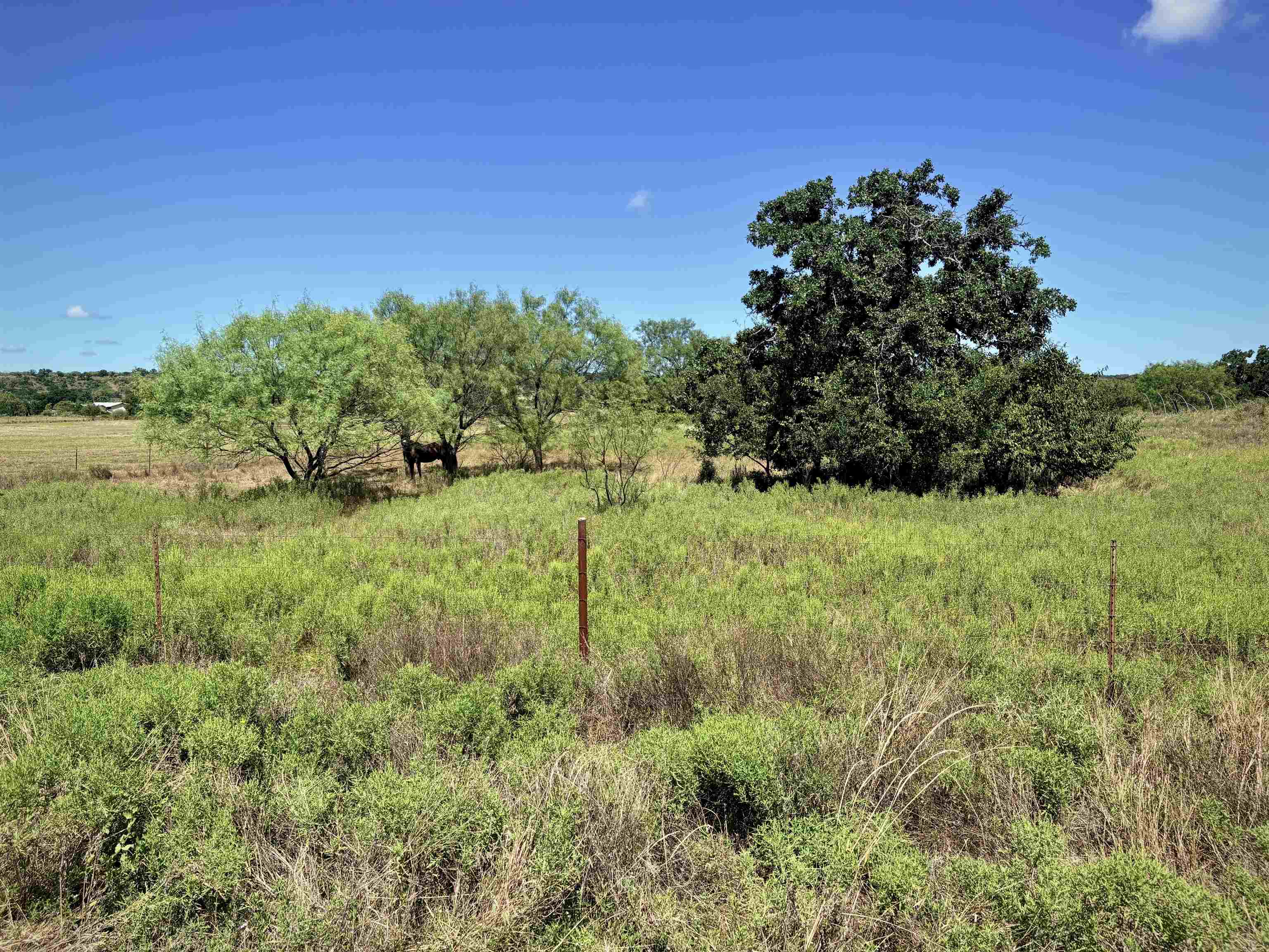 Buffalo Spring Circle
