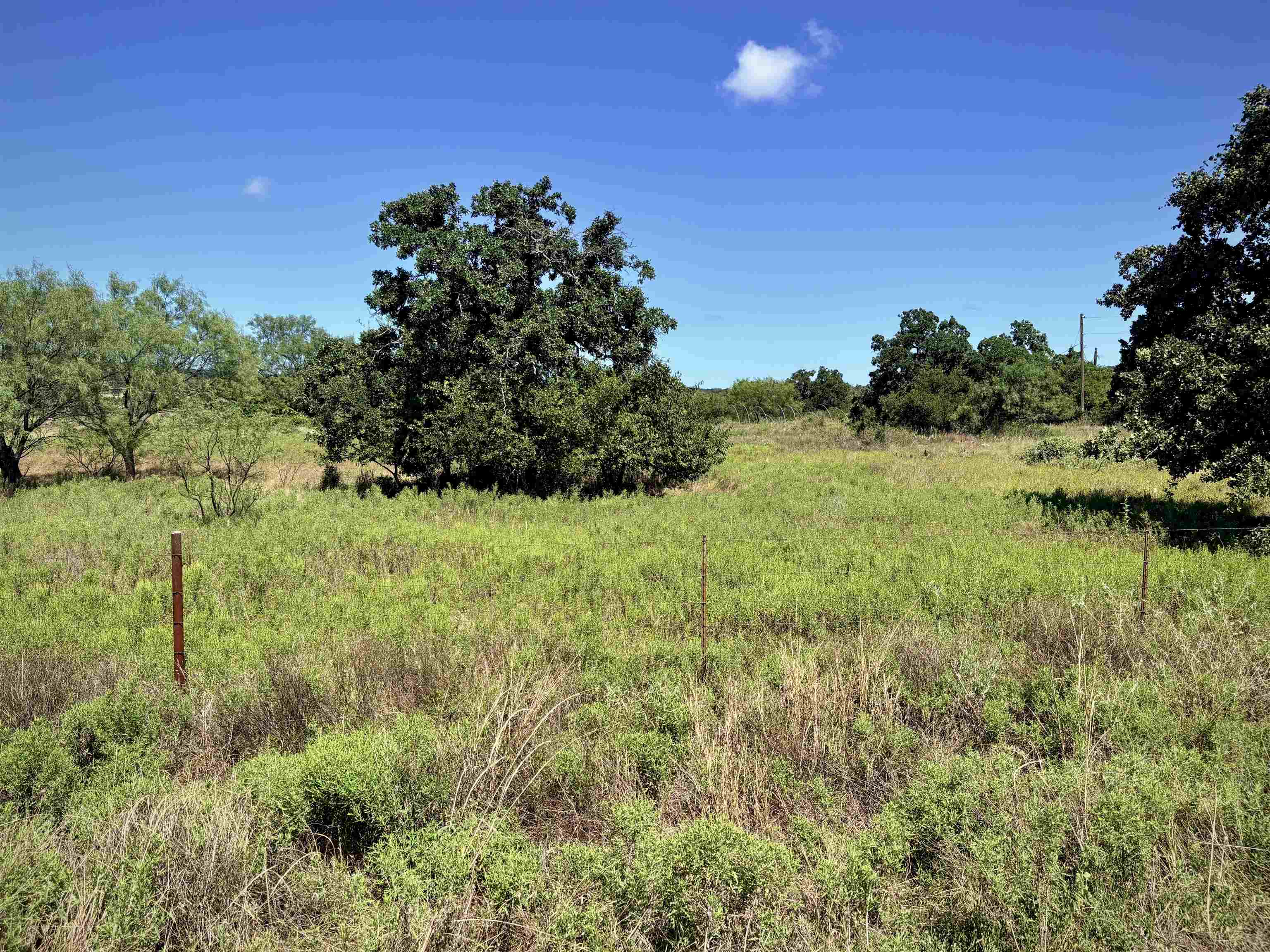 Buffalo Spring Circle