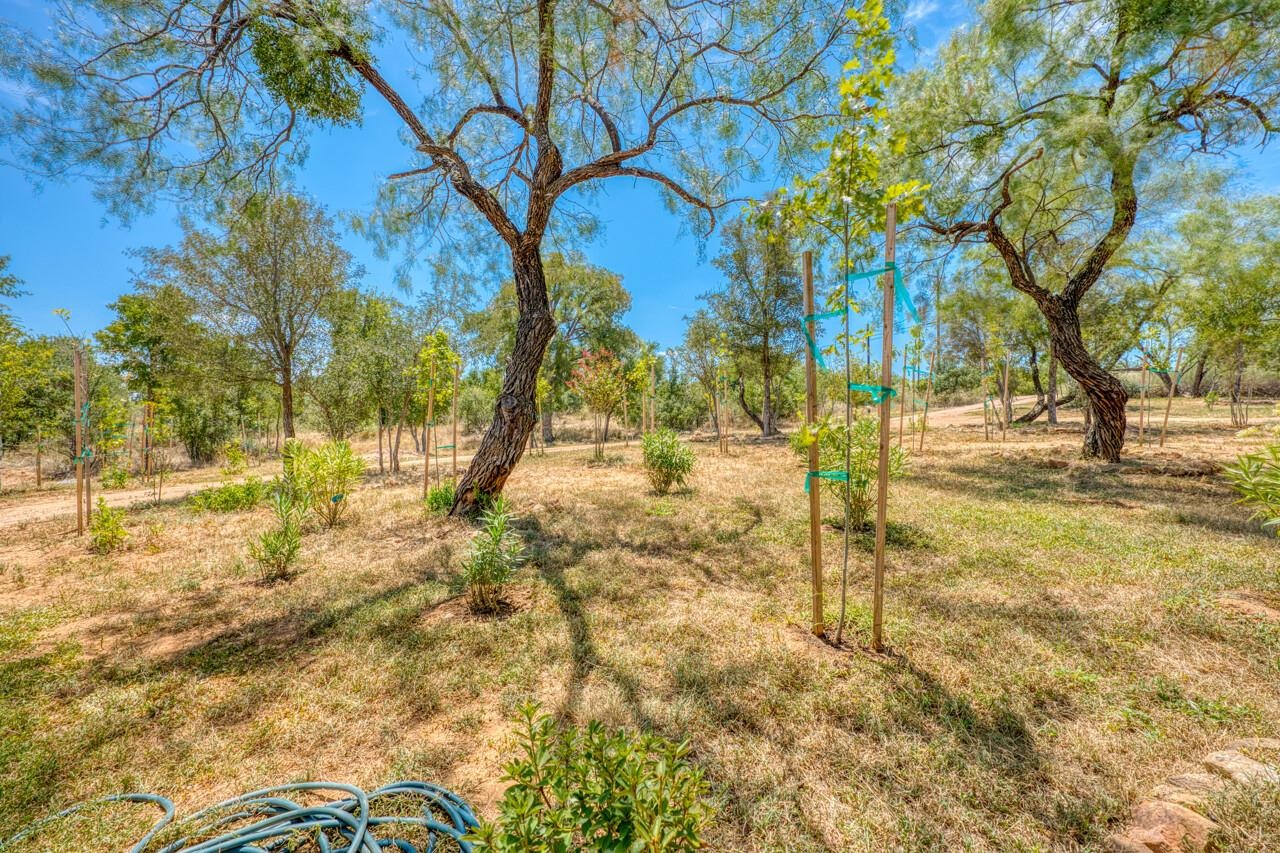 209 Riverpark Drive