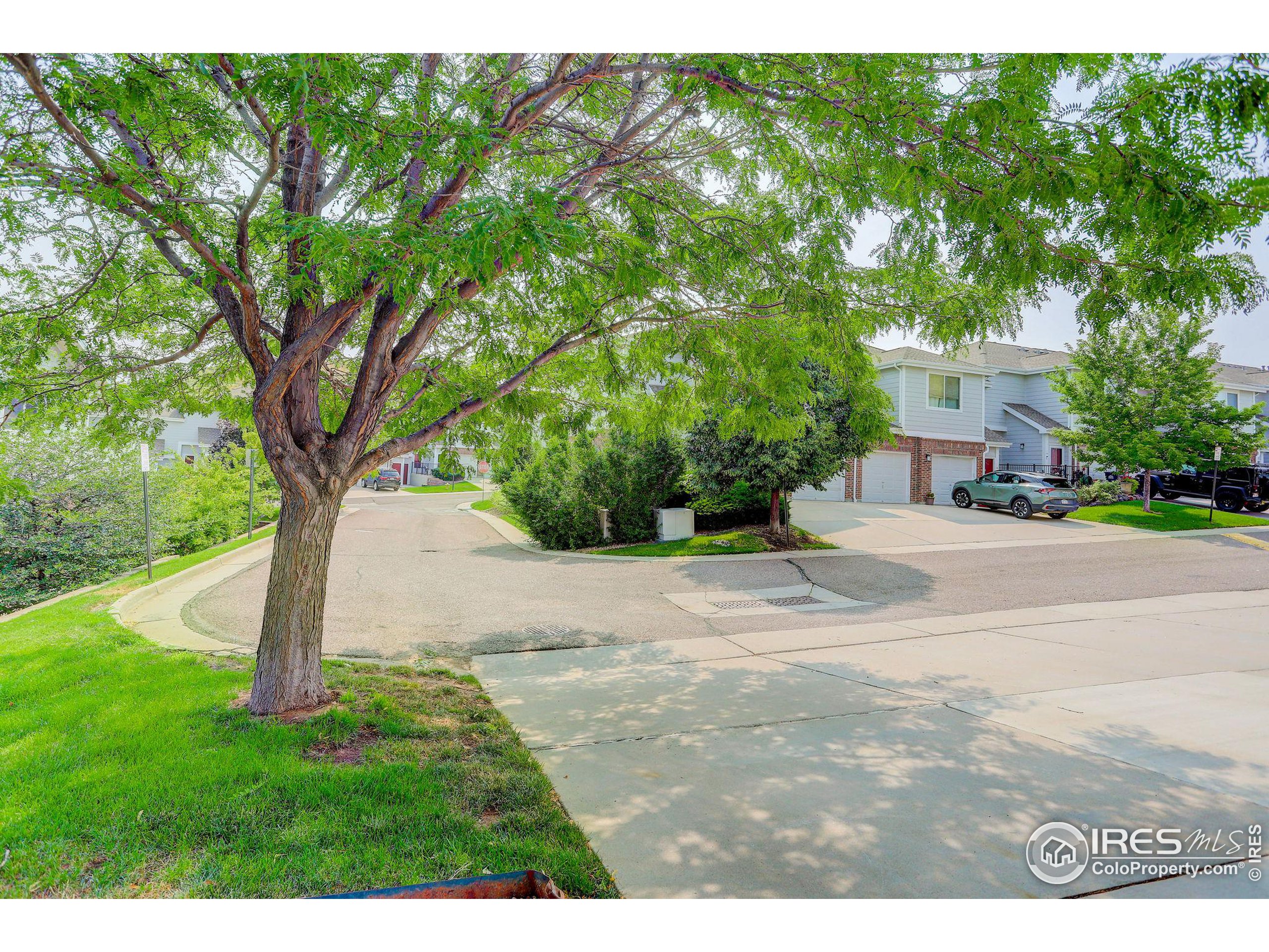 5537 Lewis Ct UPPR 206