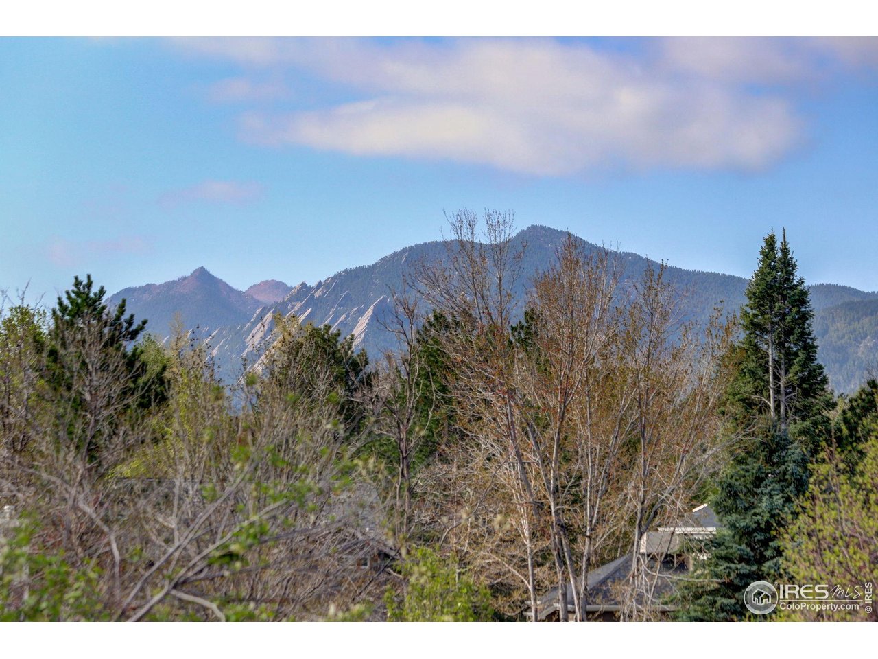 1460 Quince Ave #102