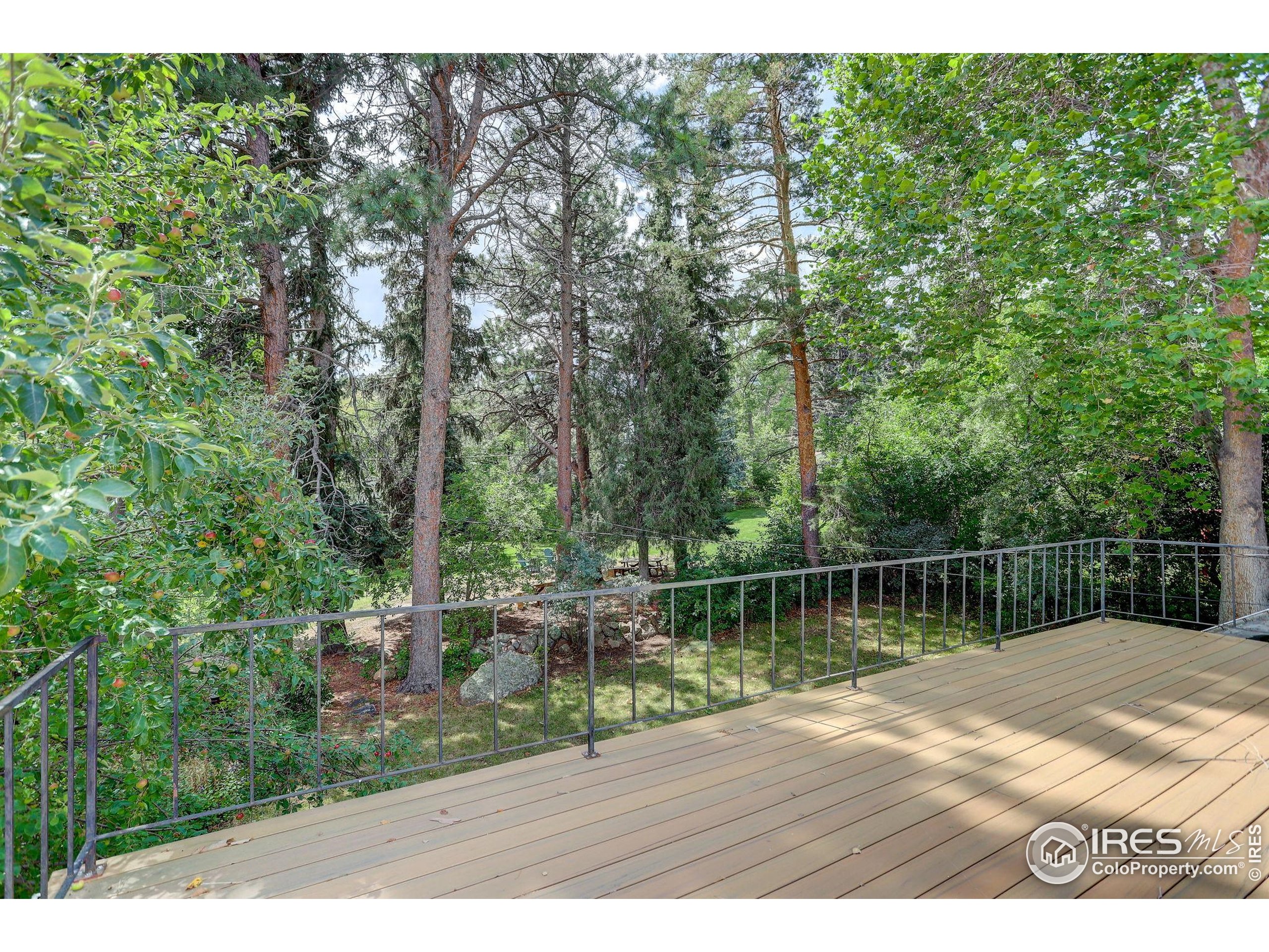 1512 Mariposa Ave