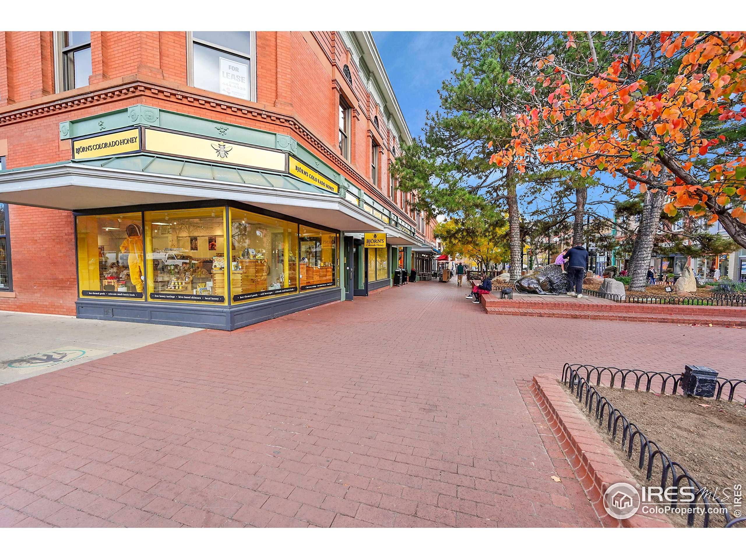 2033 & 2039 11th St #3, #1