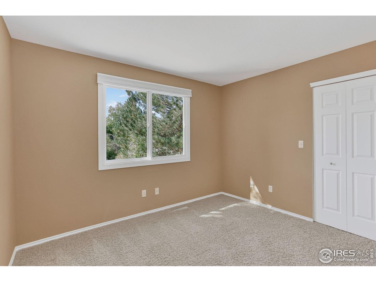 593 Wildrose Way