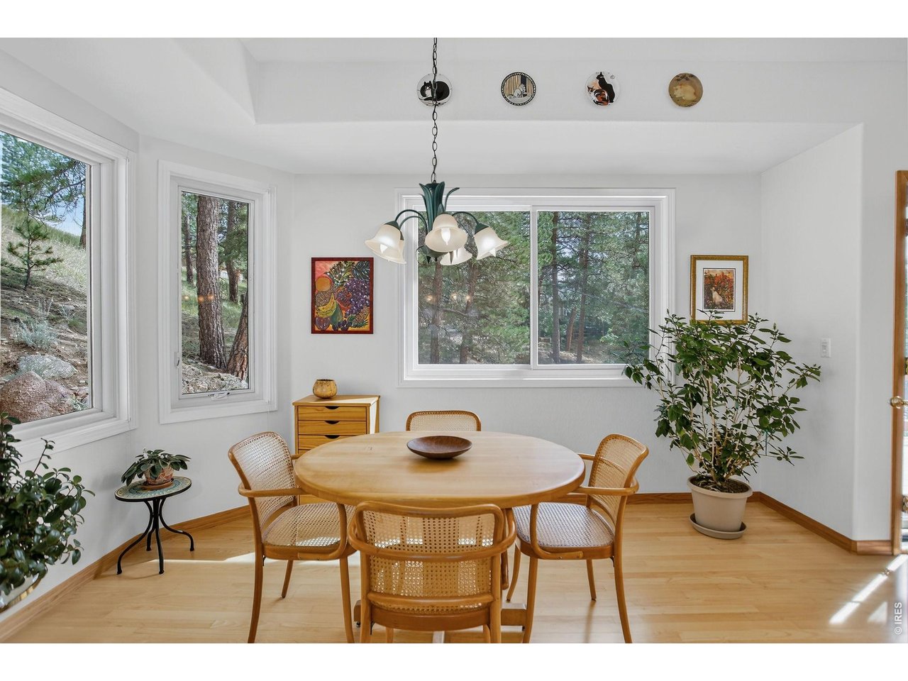 65 Betasso Rd