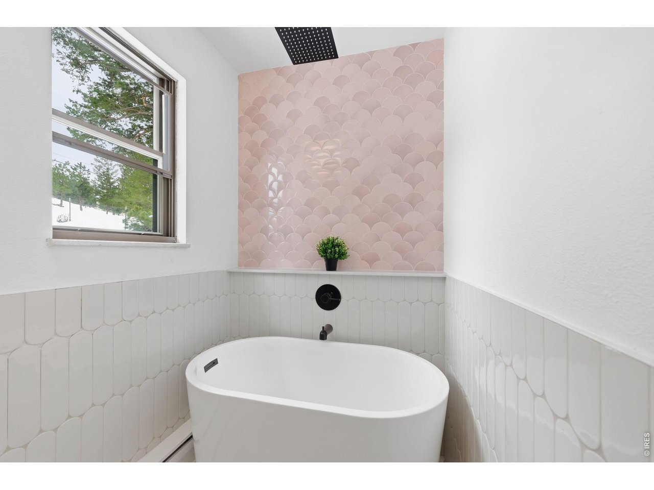 118 Crooked Spur