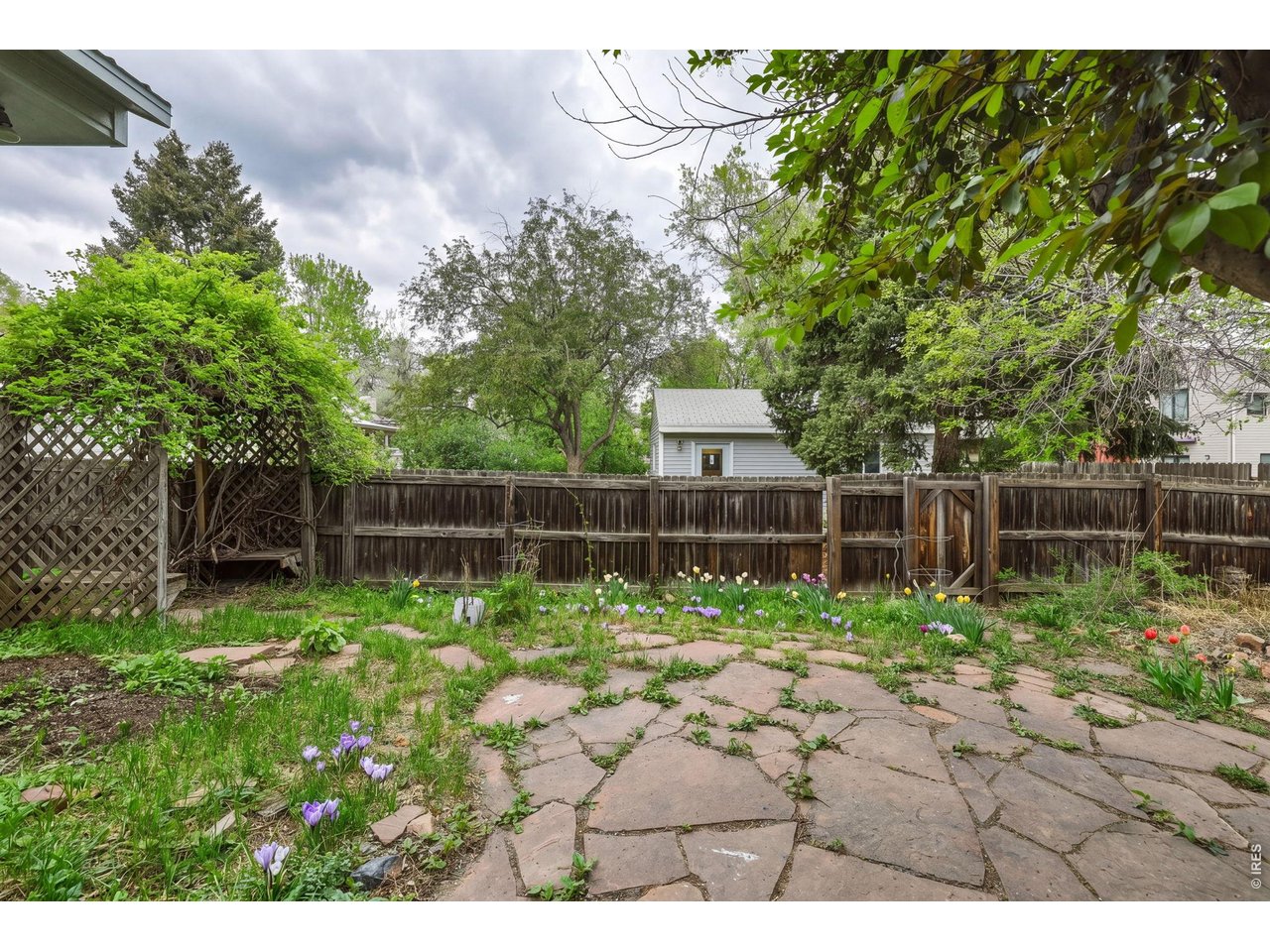 556 Grant Ave