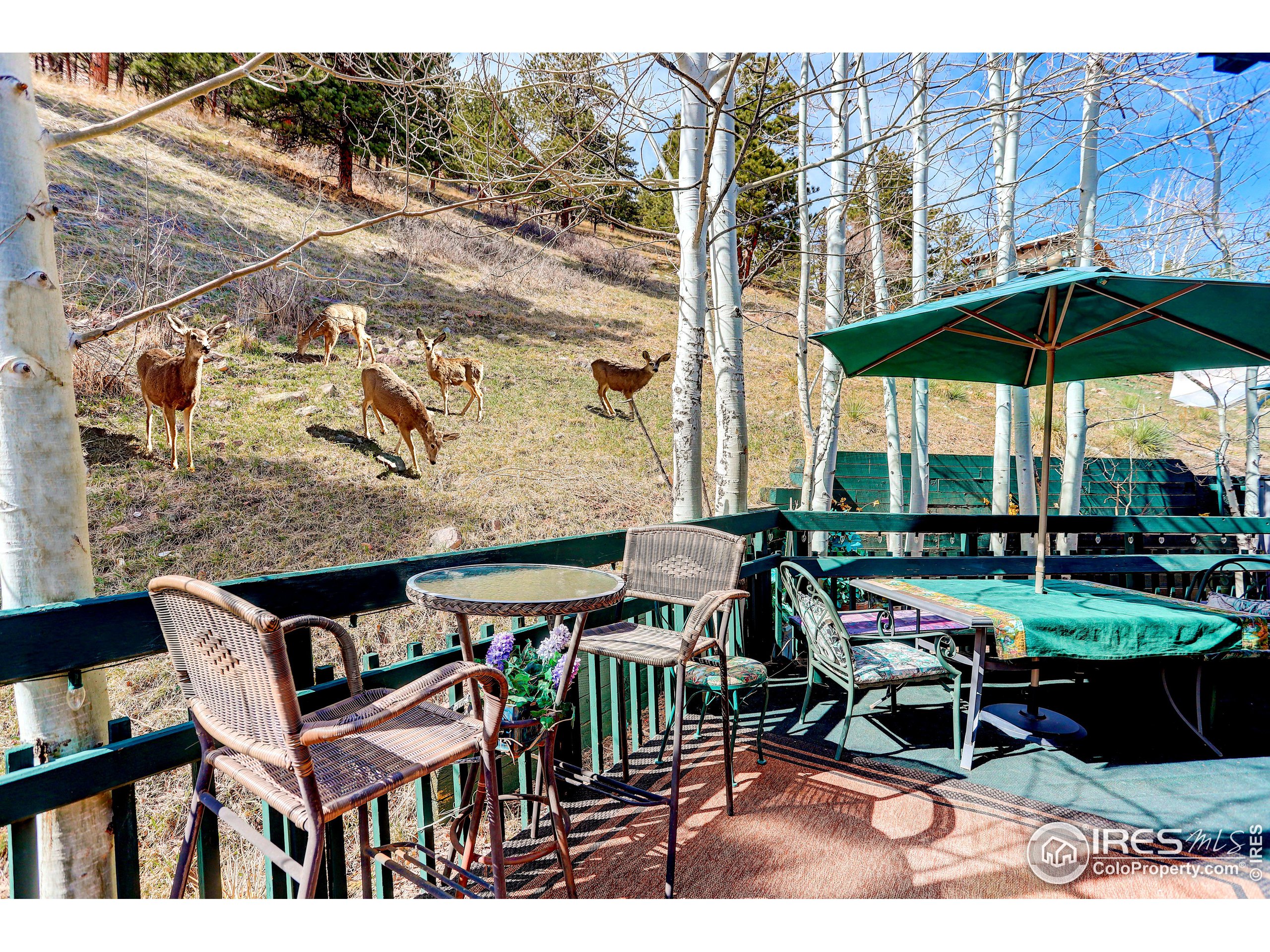 105 N Cedar Brook Rd