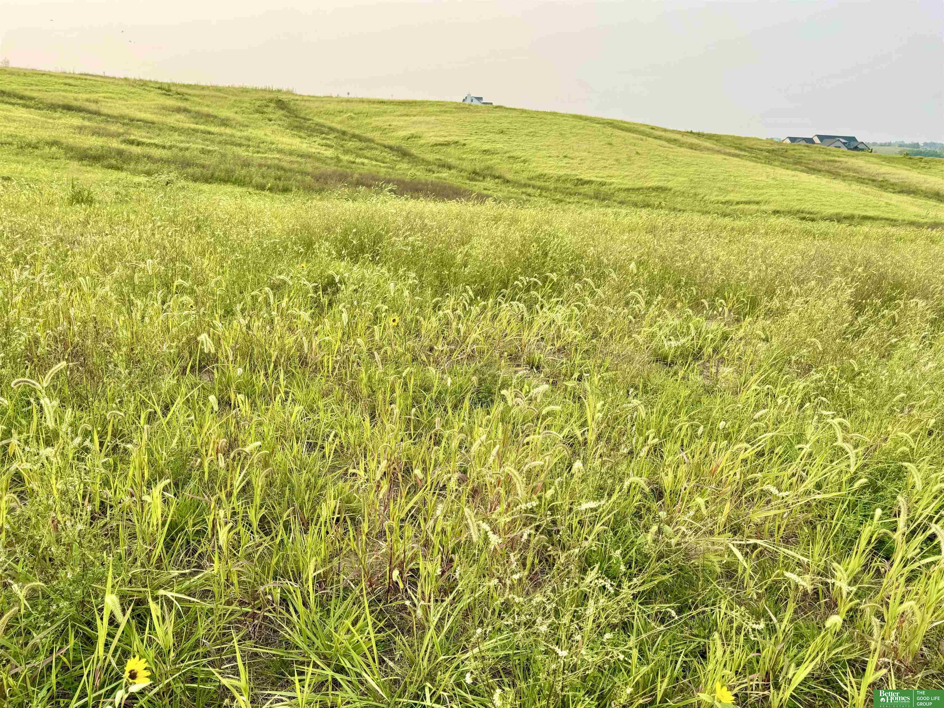 12168 S 227th Street