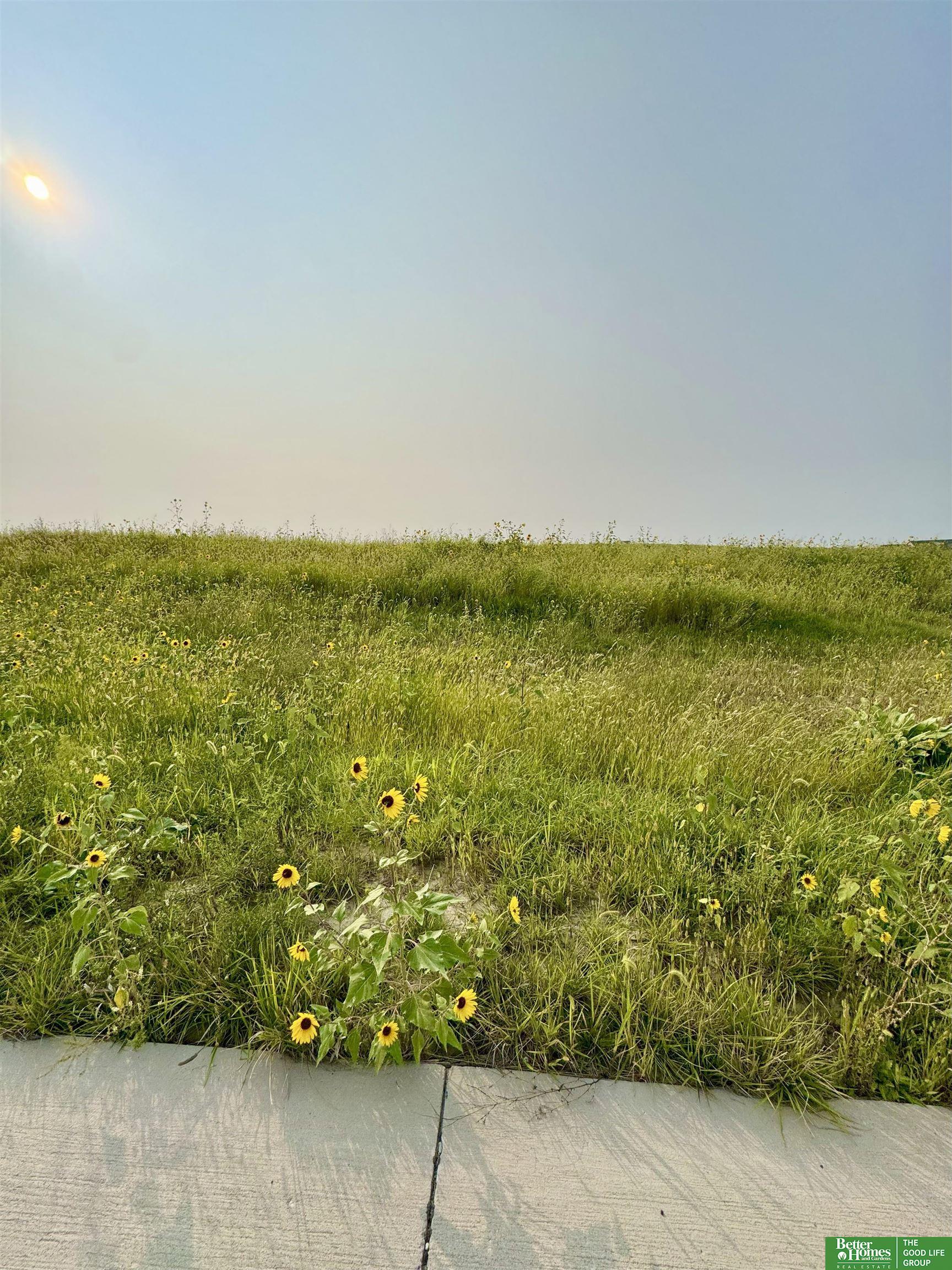 12168 S 227th Street